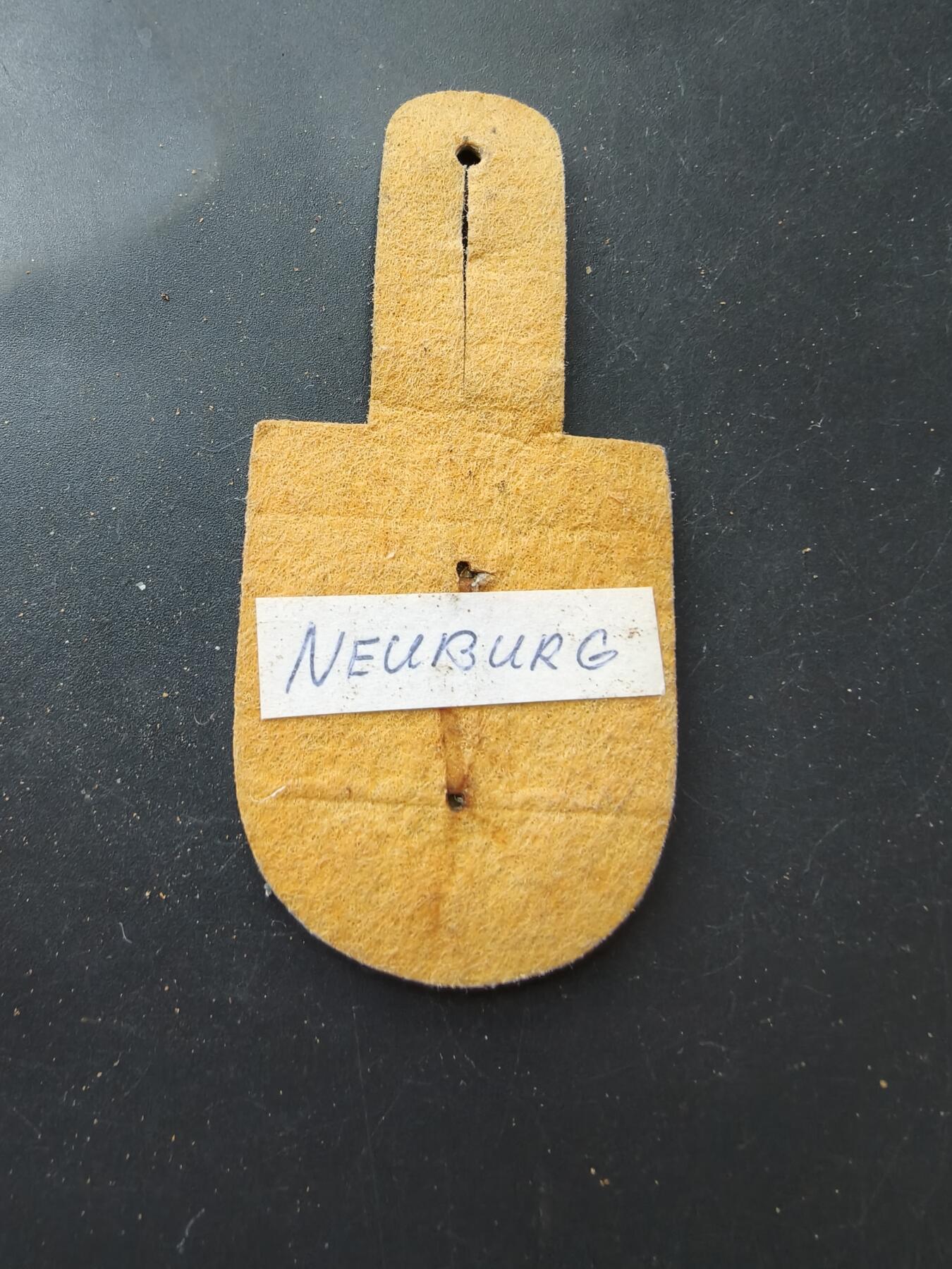 老王徽章第192期 德国空军第74战斗机联队证章