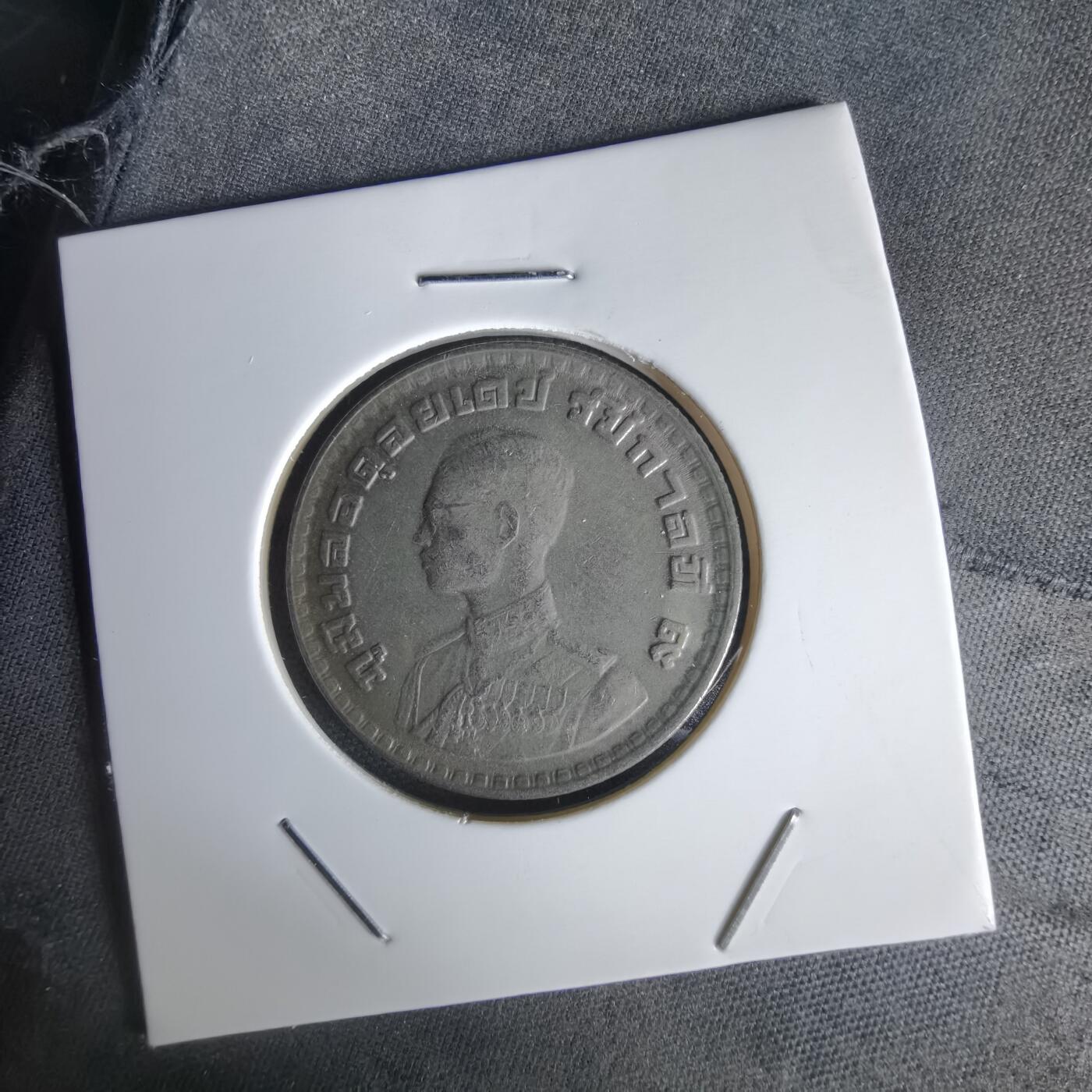 沼泽如烟--第1056场