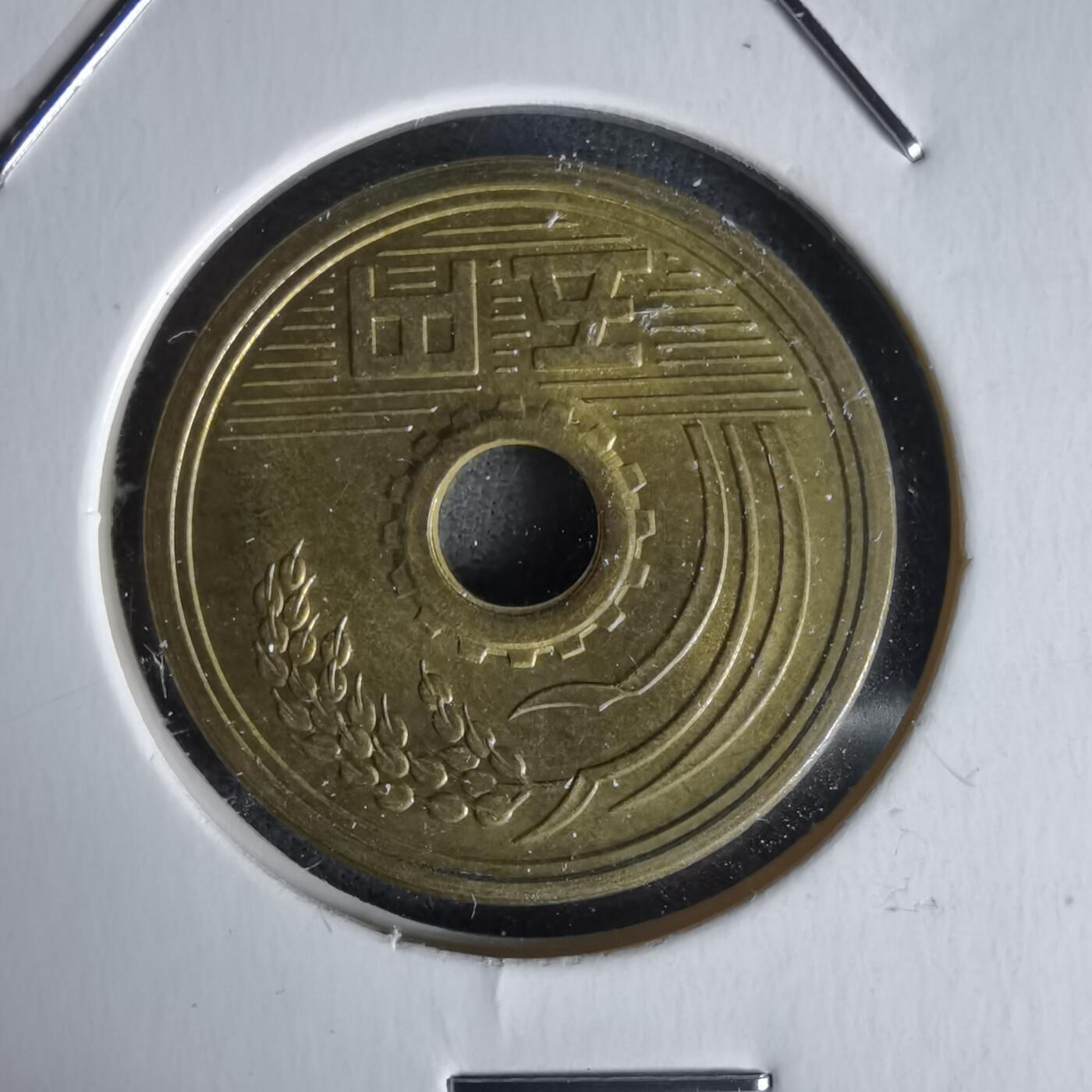 沼泽如烟--第1058场