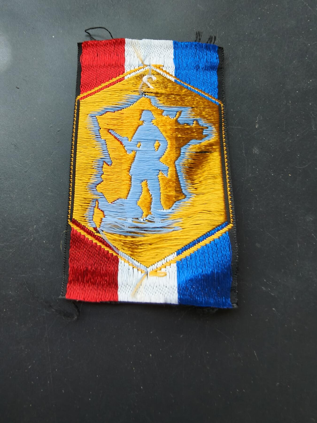 老王徽章第192期 法国第六军区领土防卫臂章