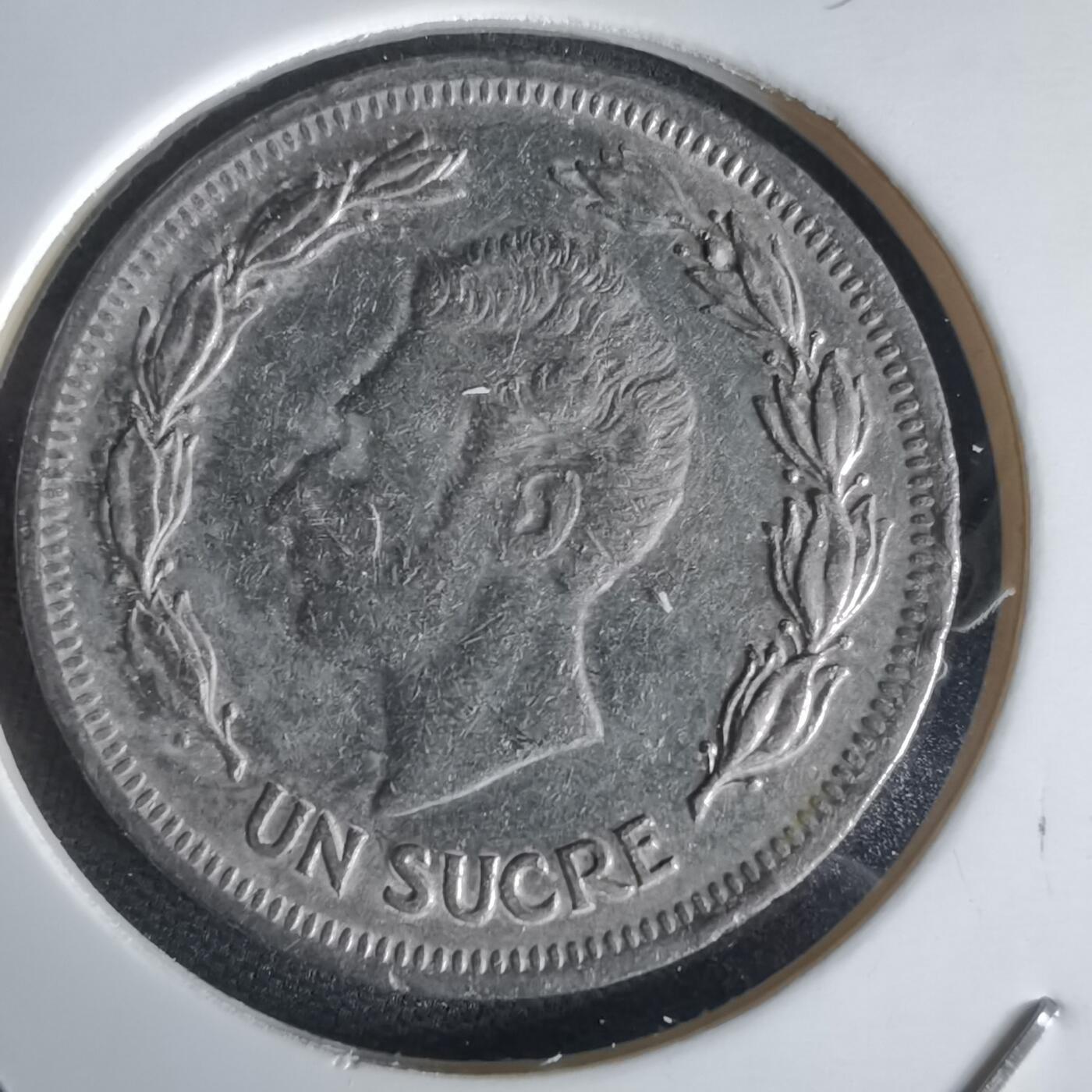 沼泽如烟--第1056场