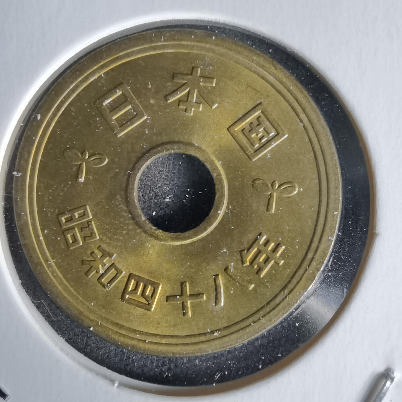 沼泽如烟--第1058场