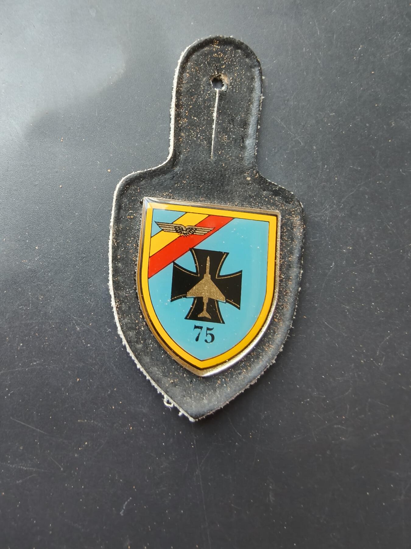 老王徽章第192期 德国空军第75战斗机联队证章