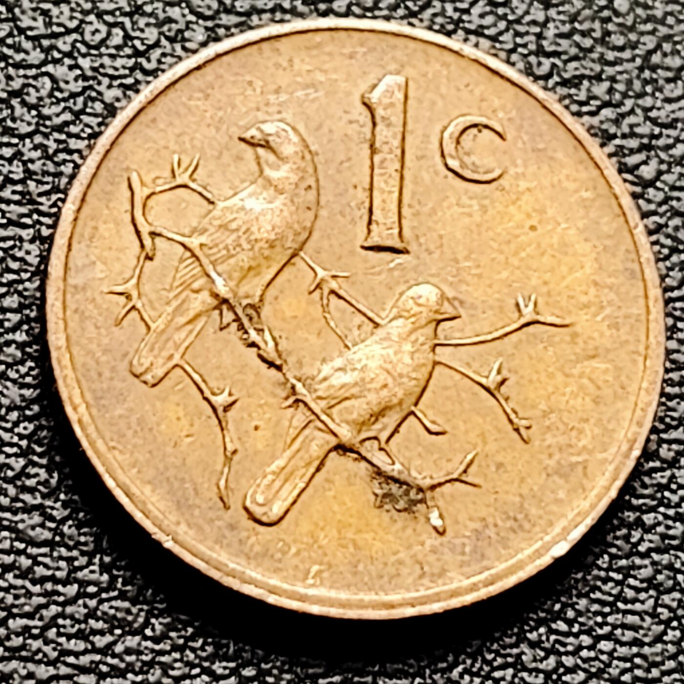 泉币菌-第226场-拍品多 请提前出价 麻雀 南非1分青铜硬币 19.0毫米3.0克 1979年