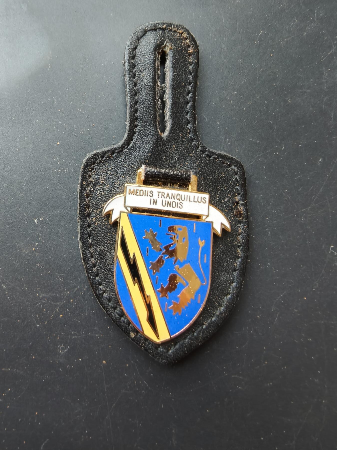 老王徽章第192期 德国联邦国防军第5通信营证章