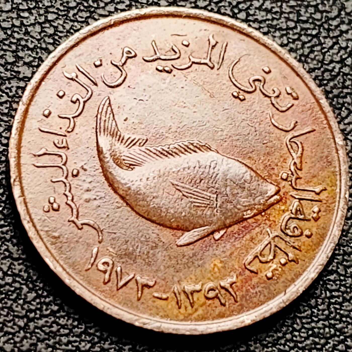 泉币菌-第227场-拍品多 请提前出价 鱼 阿联酋5费尔青铜币 22毫米3.7克