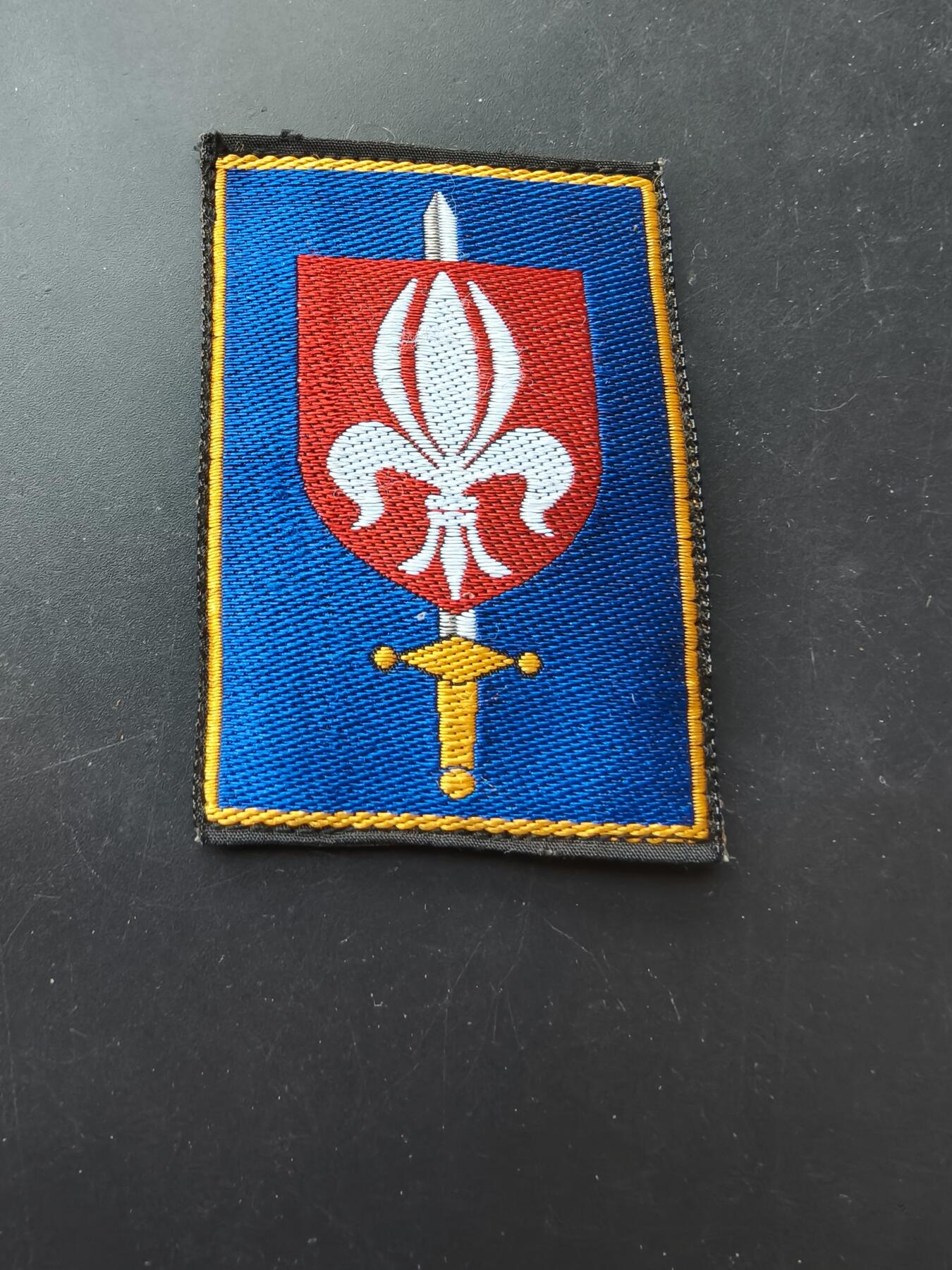 老王徽章第192期 法国里尔军事防御区臂章