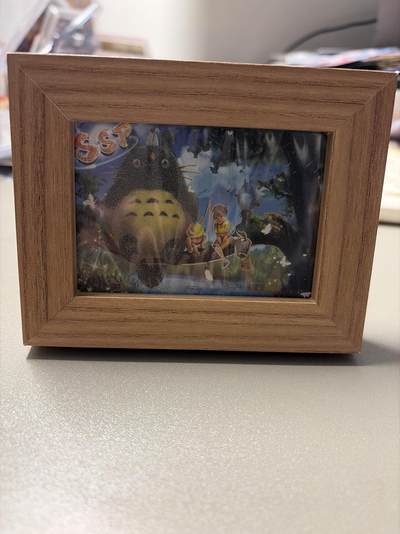 麦趣喜第六场   (4月17号周五晚上22点截拍，专注买家市场，福利拉满)  【限编】愈世界 龙猫 送相框 167/321