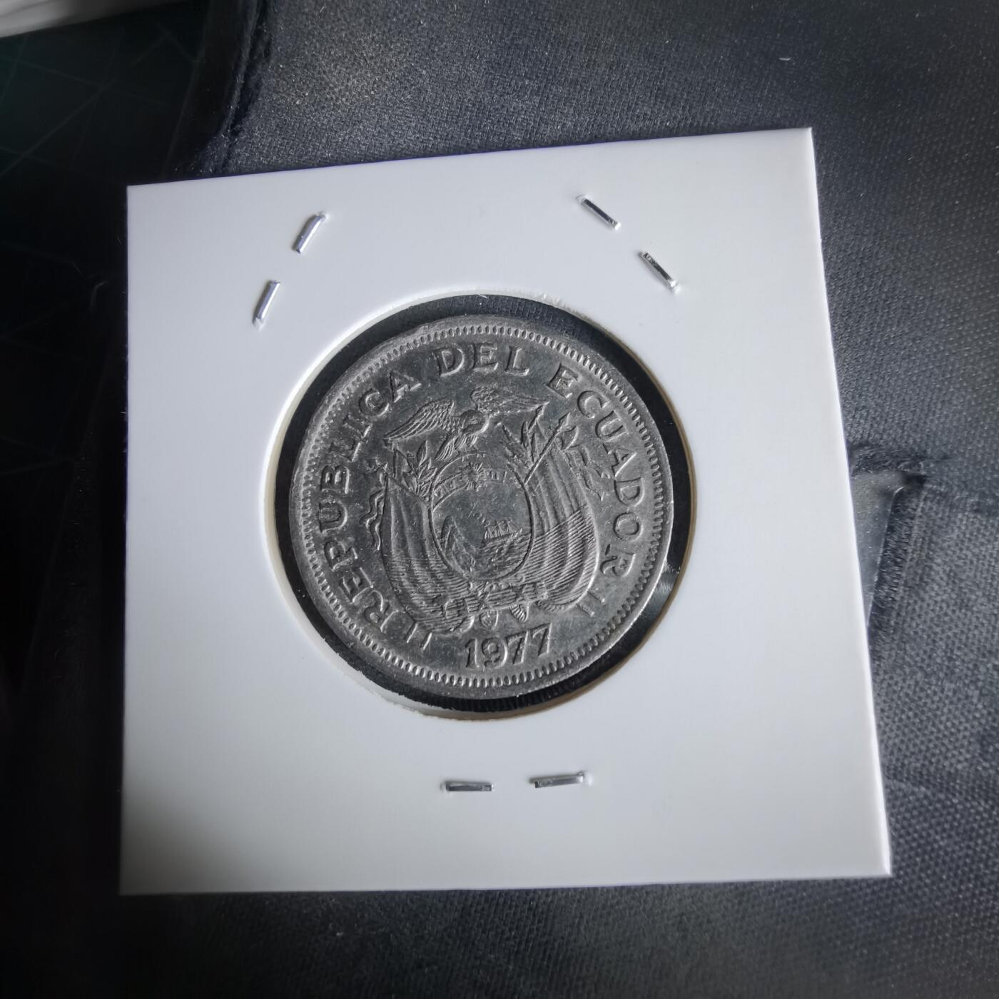 沼泽如烟--第1056场