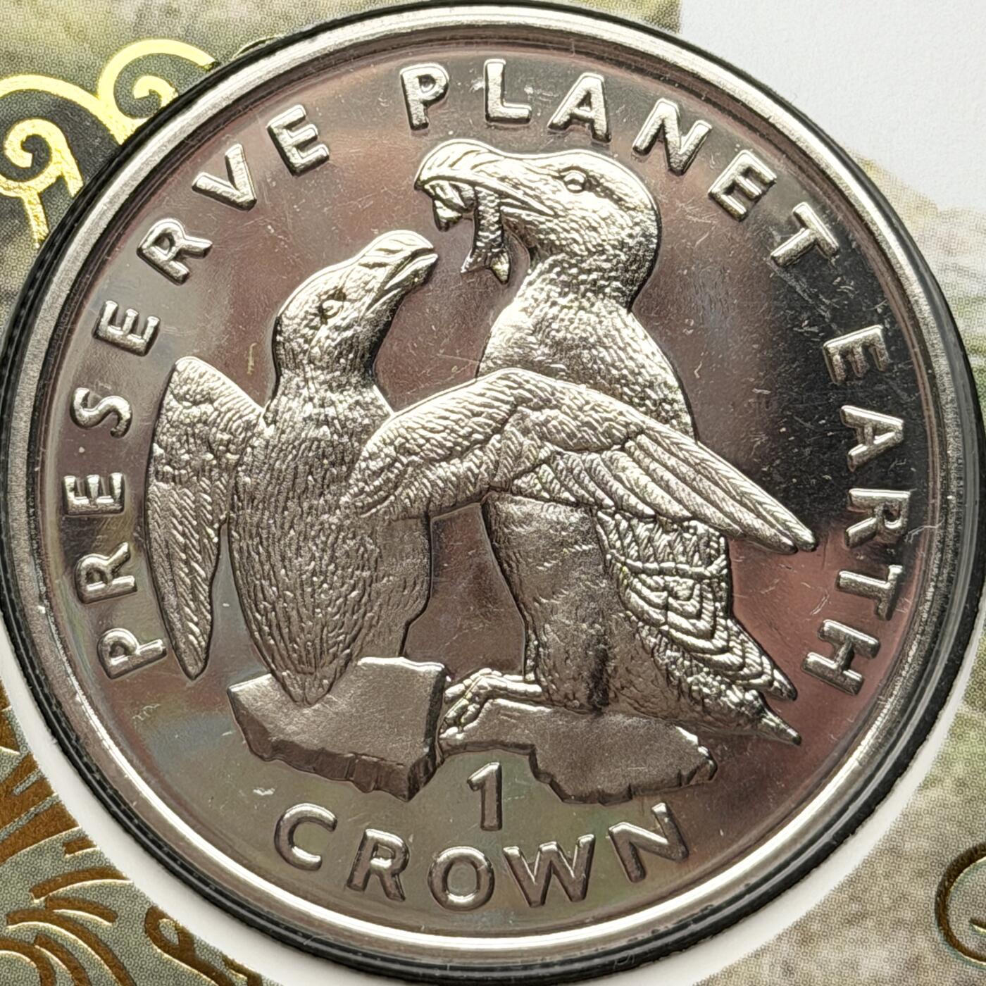 ＜星葵🌻钱币社＞第73期·东奔西走的硬币·4月20日发货