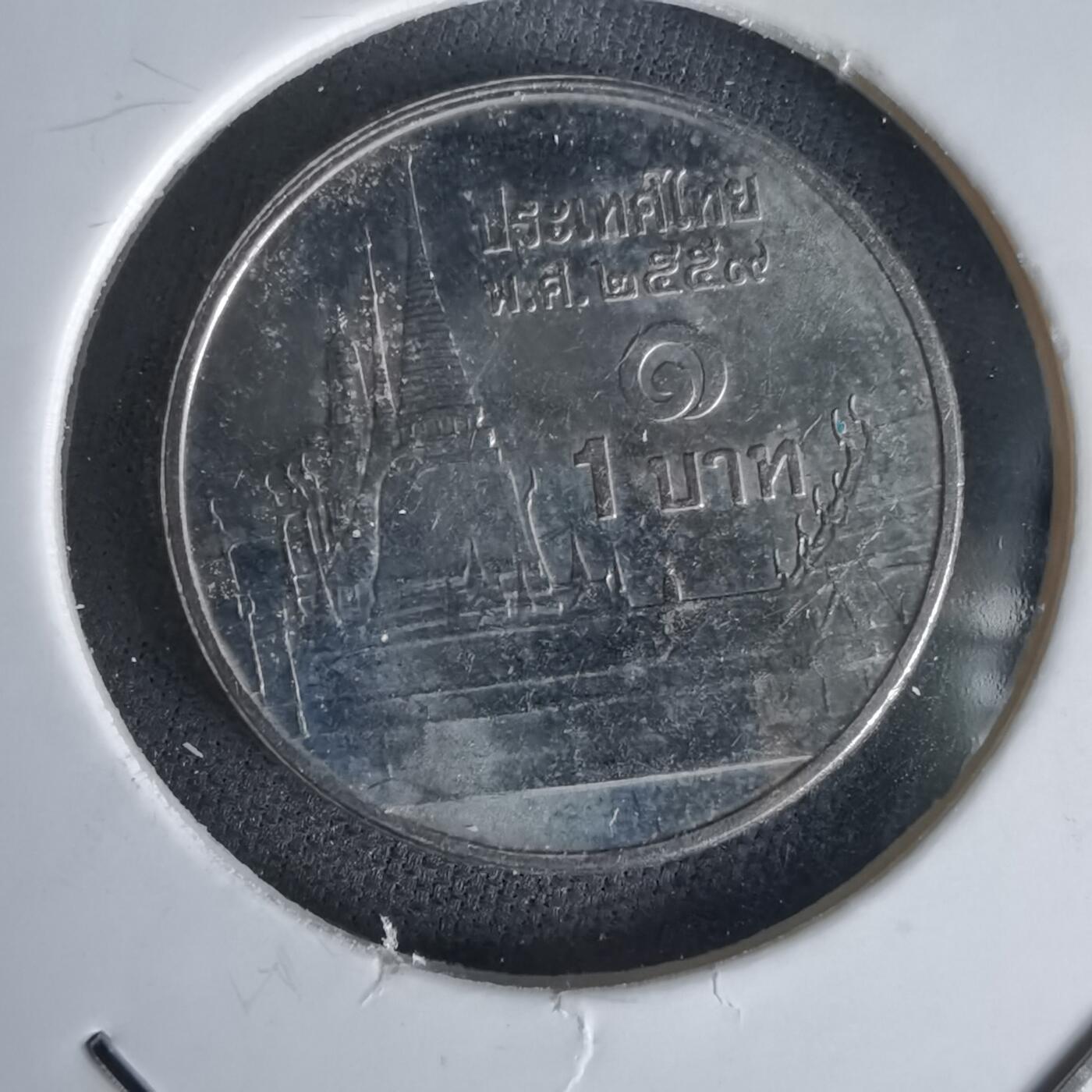 沼泽如烟--第1056场