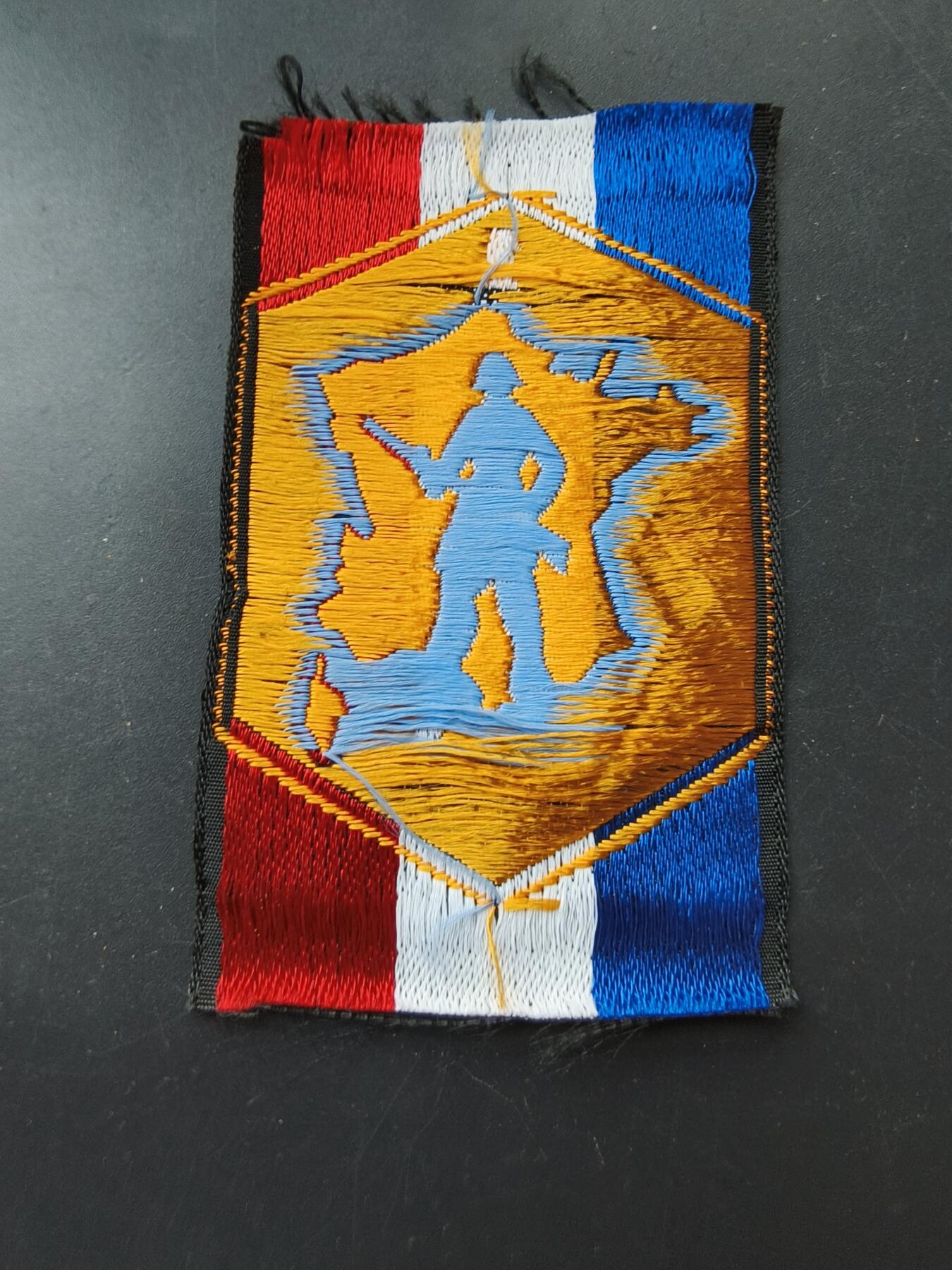 老王徽章第192期 法国陆军国土防卫作战部队臂章