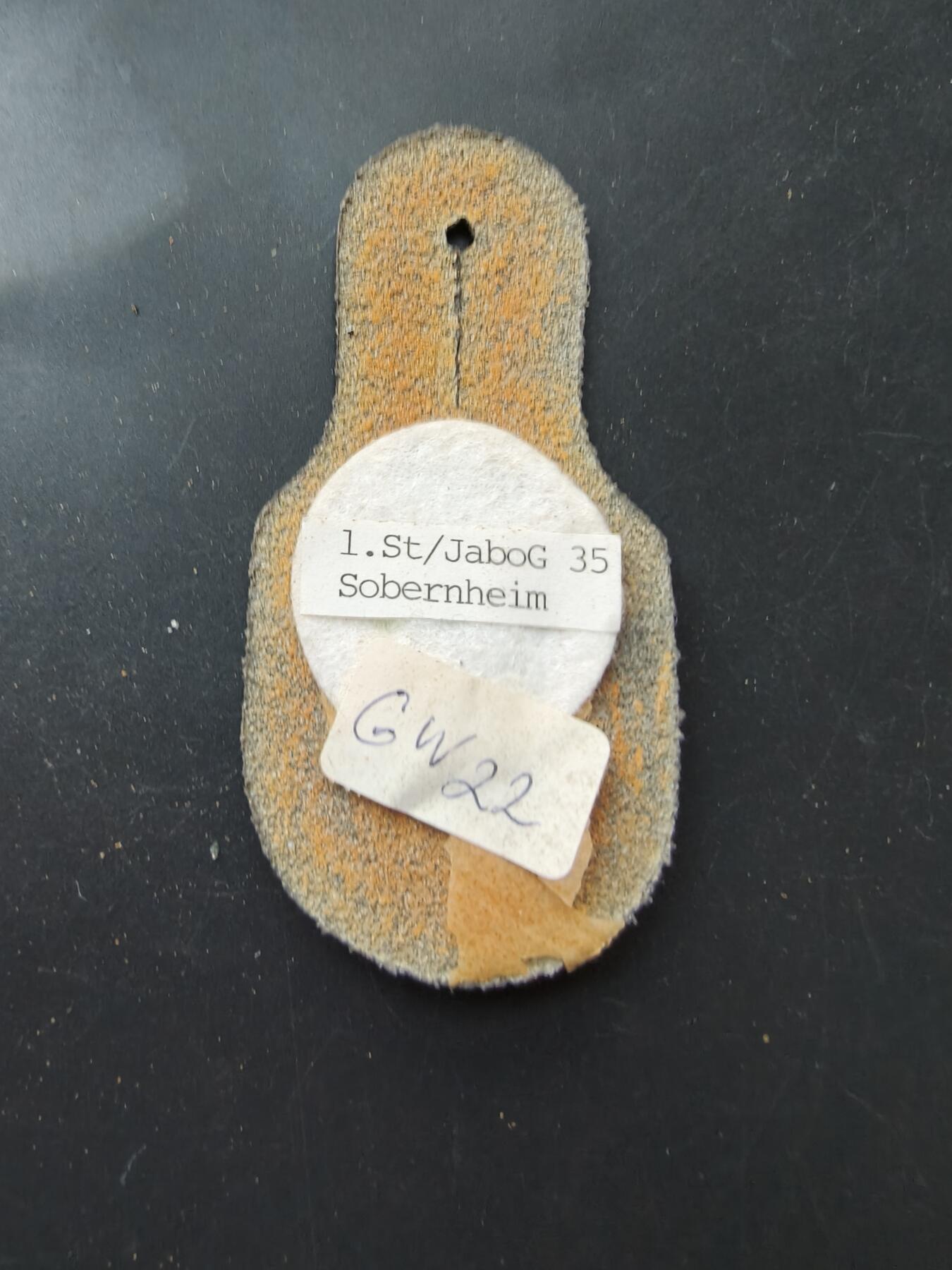 老王徽章第192期 德国空军第35战斗轰炸机联队证章    JaboG 35 是一支德国空军部队，成立于1959年，曾驻扎于皮尔兹费尔德空军基地，并于1994年解散。 