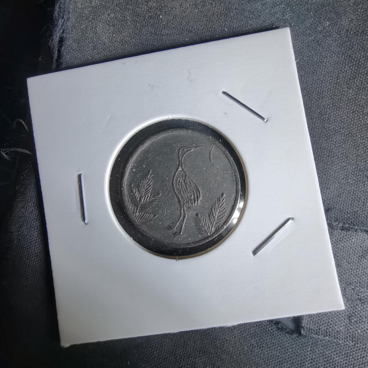 沼泽如烟--第1058场 猫头鹰 仙鹤