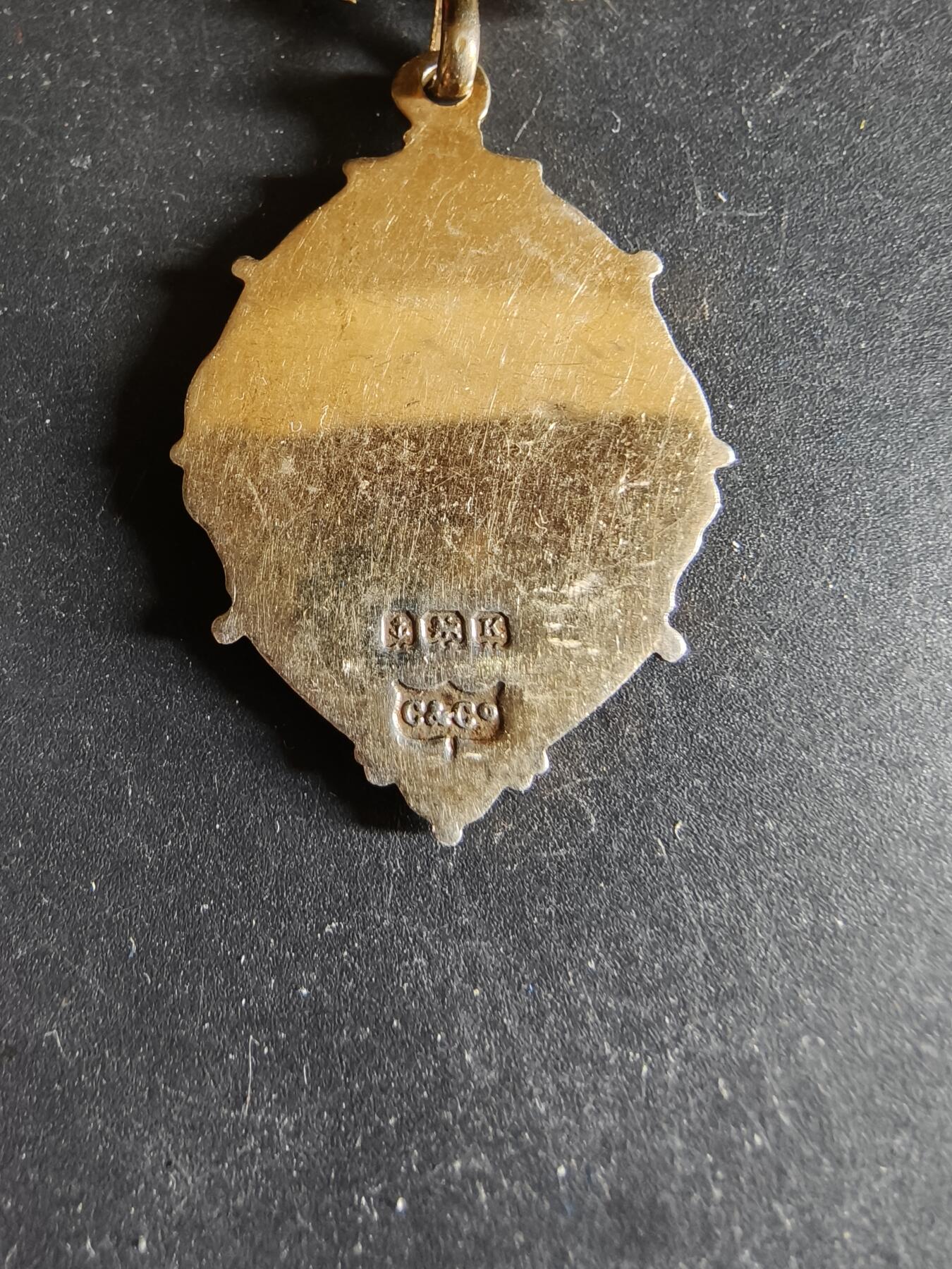 老王徽章第192期 英国古老森林人兄弟会奖章     925银镀金珐琅       16.5g