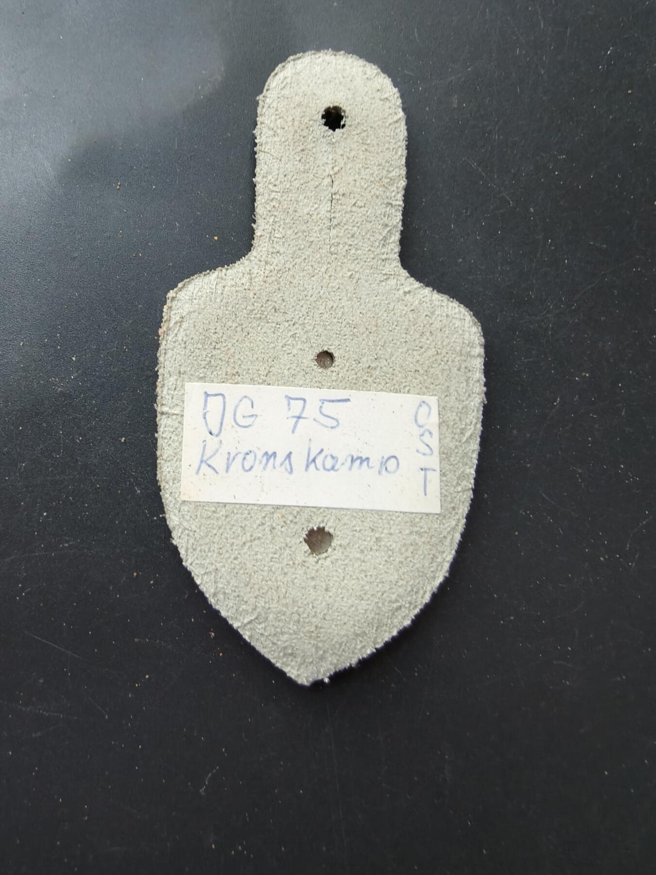 老王徽章第192期 德国空军第75战斗机联队证章