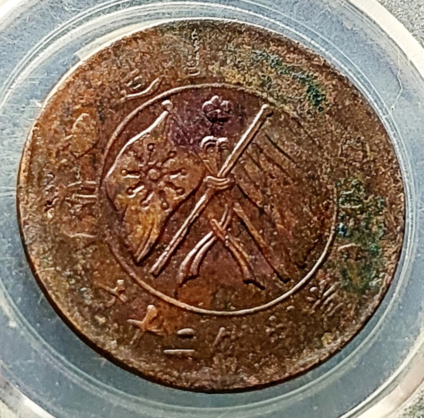 泉币菌-第226场-拍品多 请提前出价 湖南省造二十文铜元 嘉禾 32×1.5mm 背逆