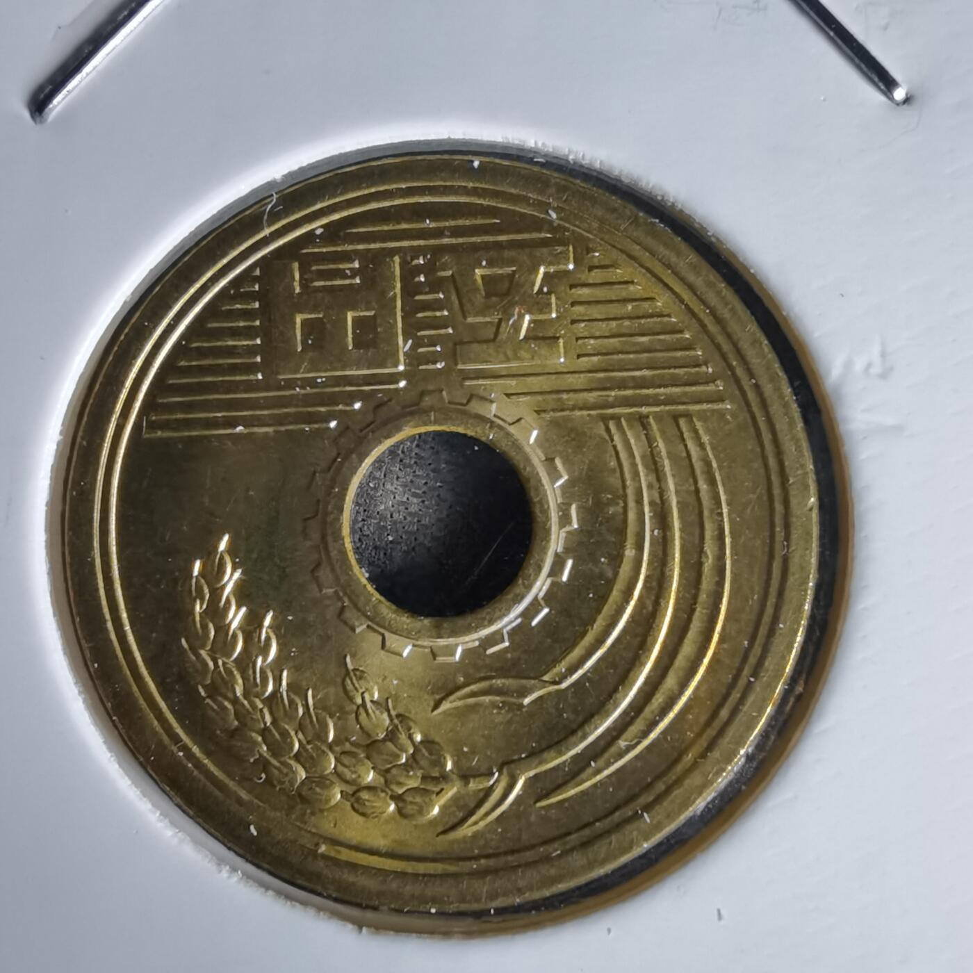 沼泽如烟--第1058场 昭和五十八年五元