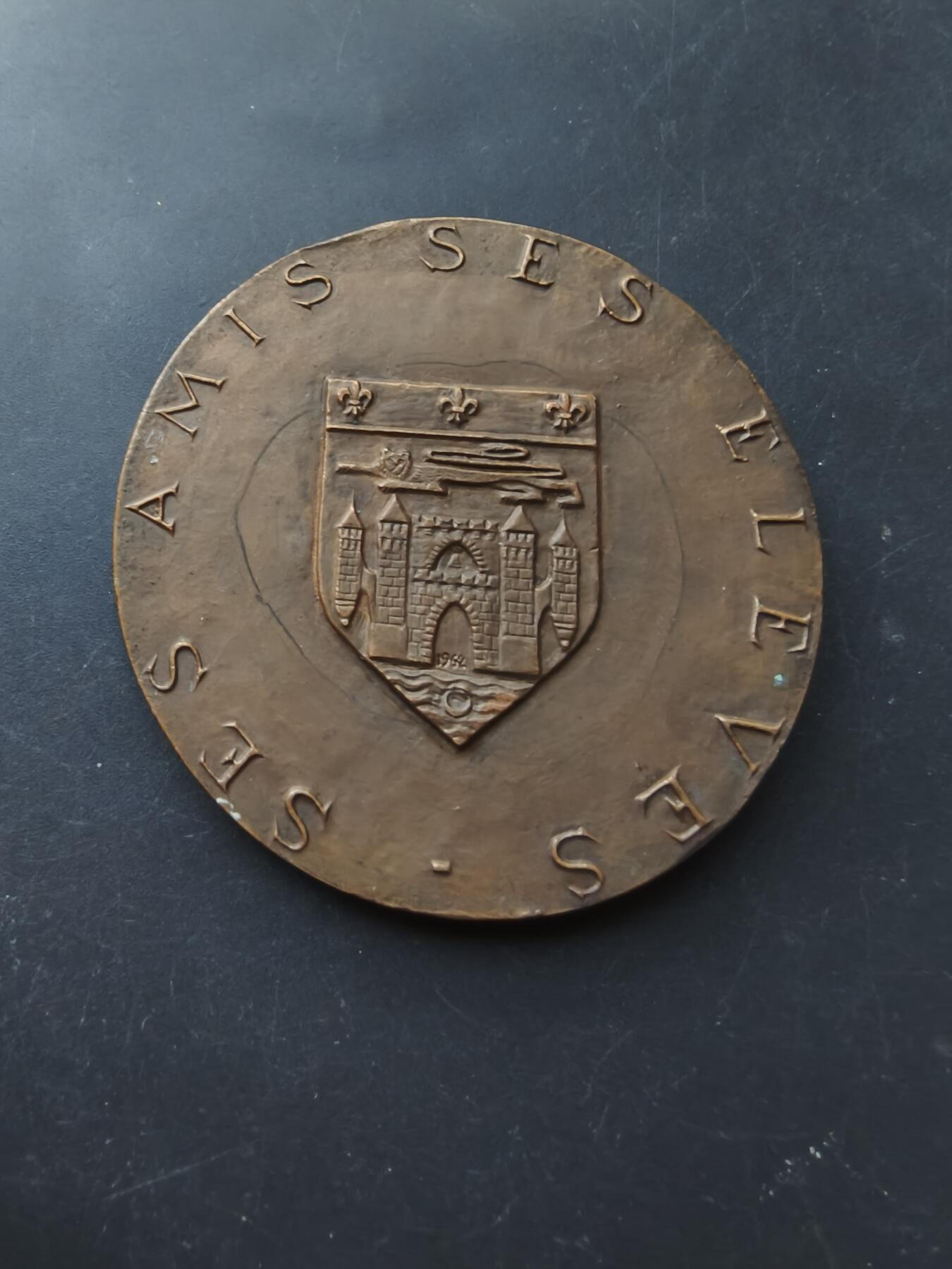 老王徽章第192期 法国波尔多大学医学院著名教授皮埃尔·乔维亚大铜章       高浮雕       直径60mm     重量110.9g