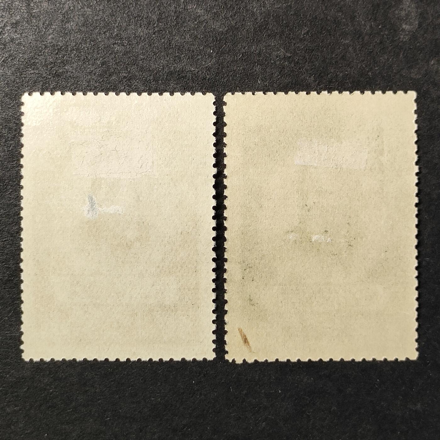 ↓君缘收藏796期☞钱币邮品↓无佣金、可寄存、满30元包邮  苏联邮票，1956年俄国杰出的小说家.短篇故事作家尼古拉·列斯科夫诞辰125周年邮票2全