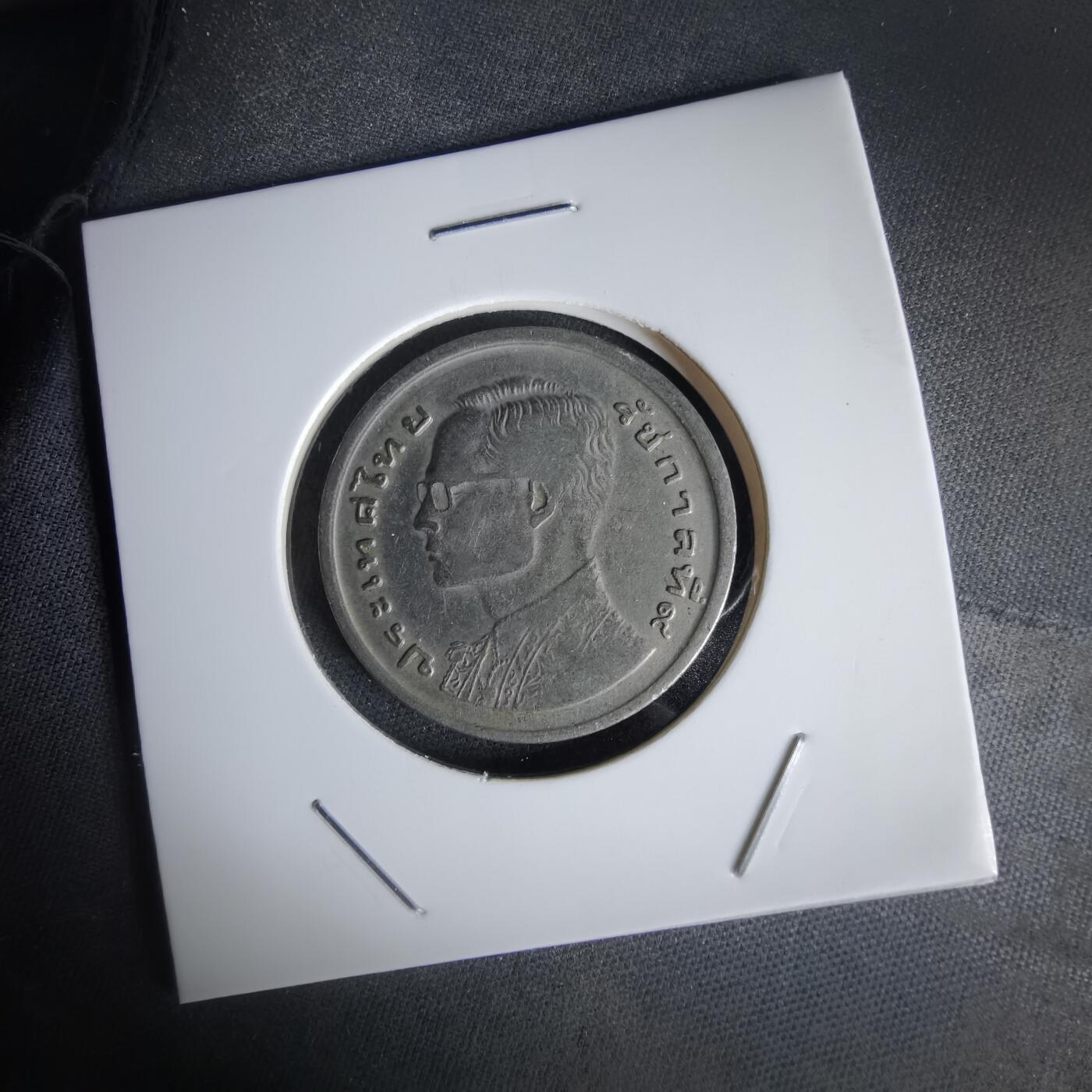 沼泽如烟--第1056场