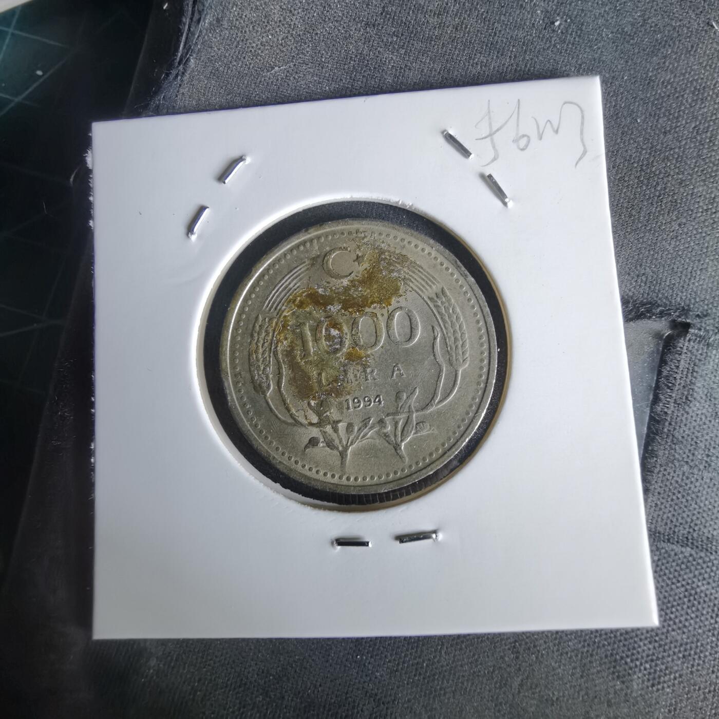 沼泽如烟--第1056场