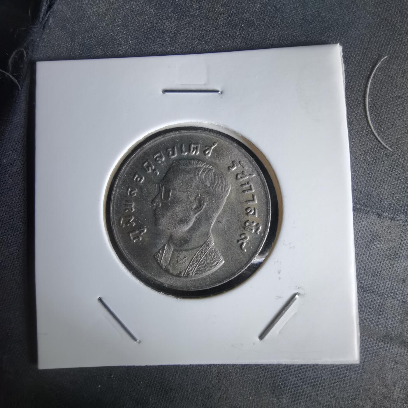 沼泽如烟--第1056场