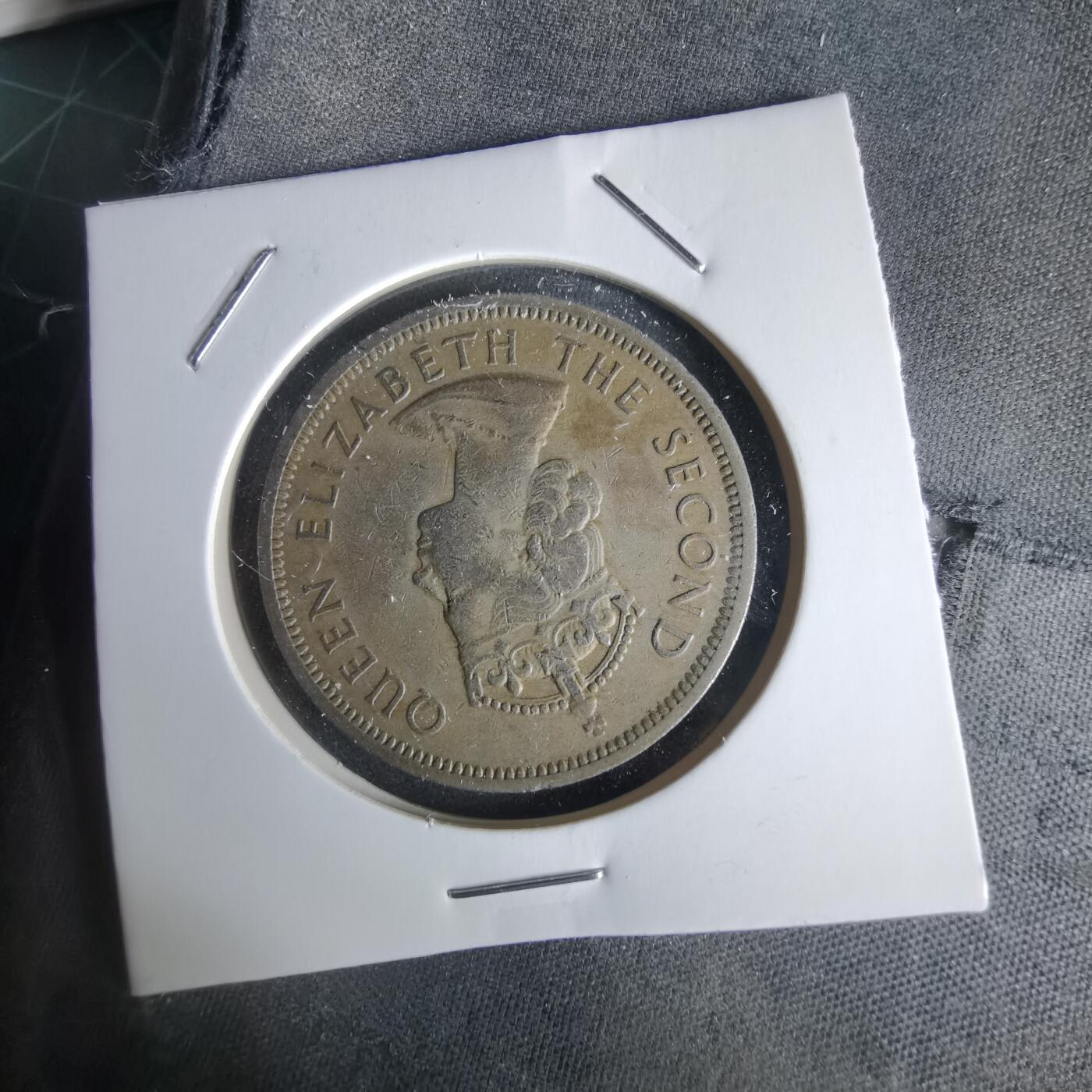 沼泽如烟--第1056场