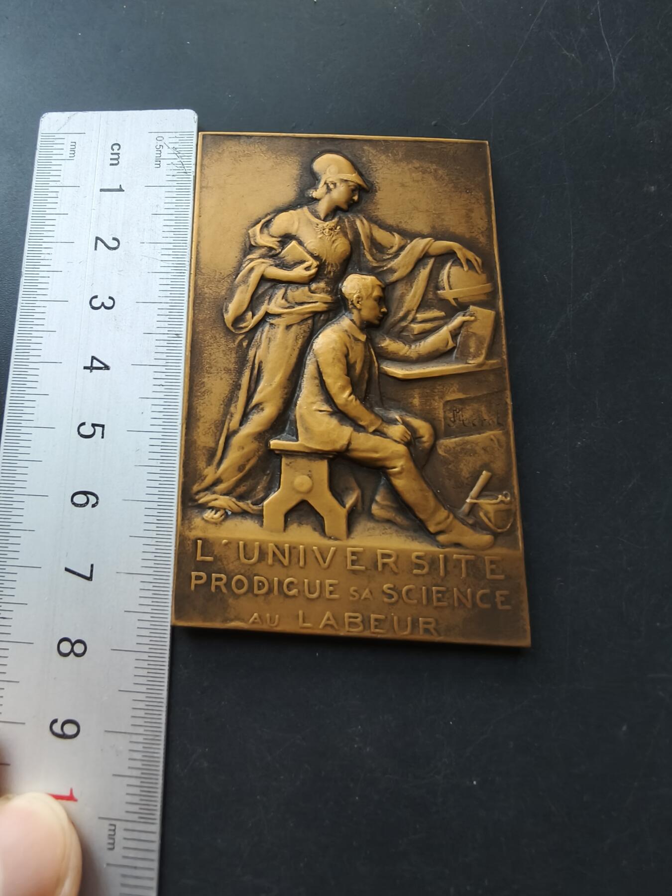 老王徽章第192期 法国大学教育成就方形大铜章      尺寸76×46mm     重量113.2g