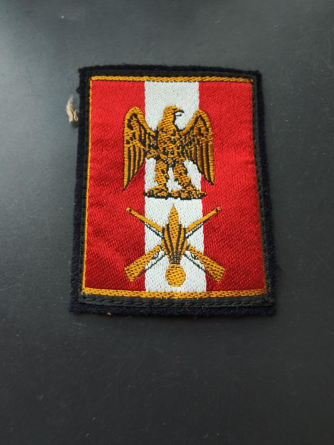 老王徽章第192期 法国陆军第15步兵师臂章