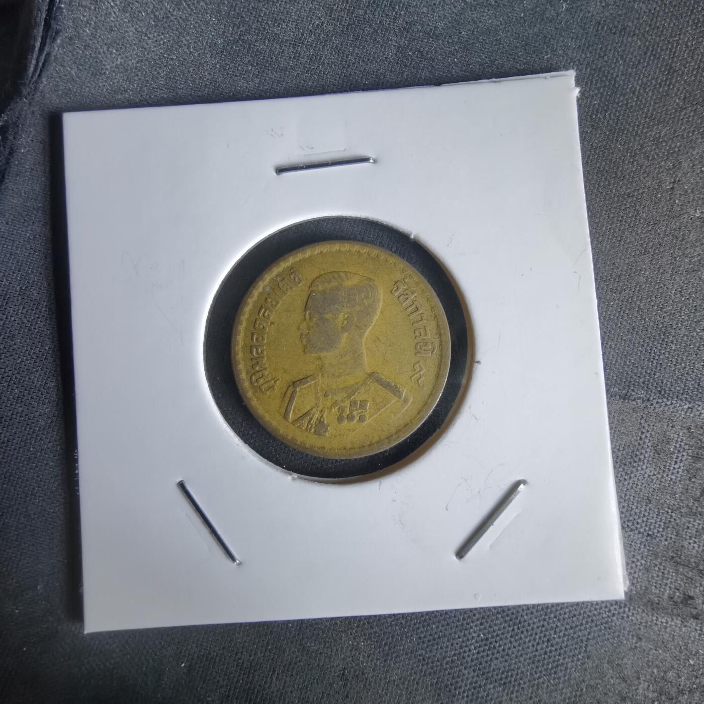 沼泽如烟--第1056场