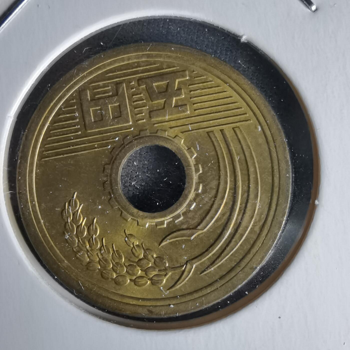 沼泽如烟--第1058场