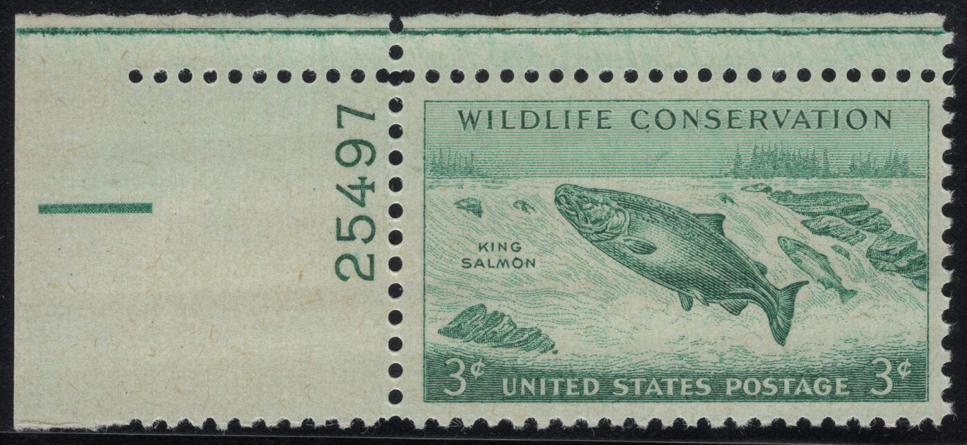 洪涛臻品批发群 精选邮票限时拍卖第1316期  1956美国濒危野生保护动物-大马哈鱼 左上角边带版号！雕刻版原胶全品！