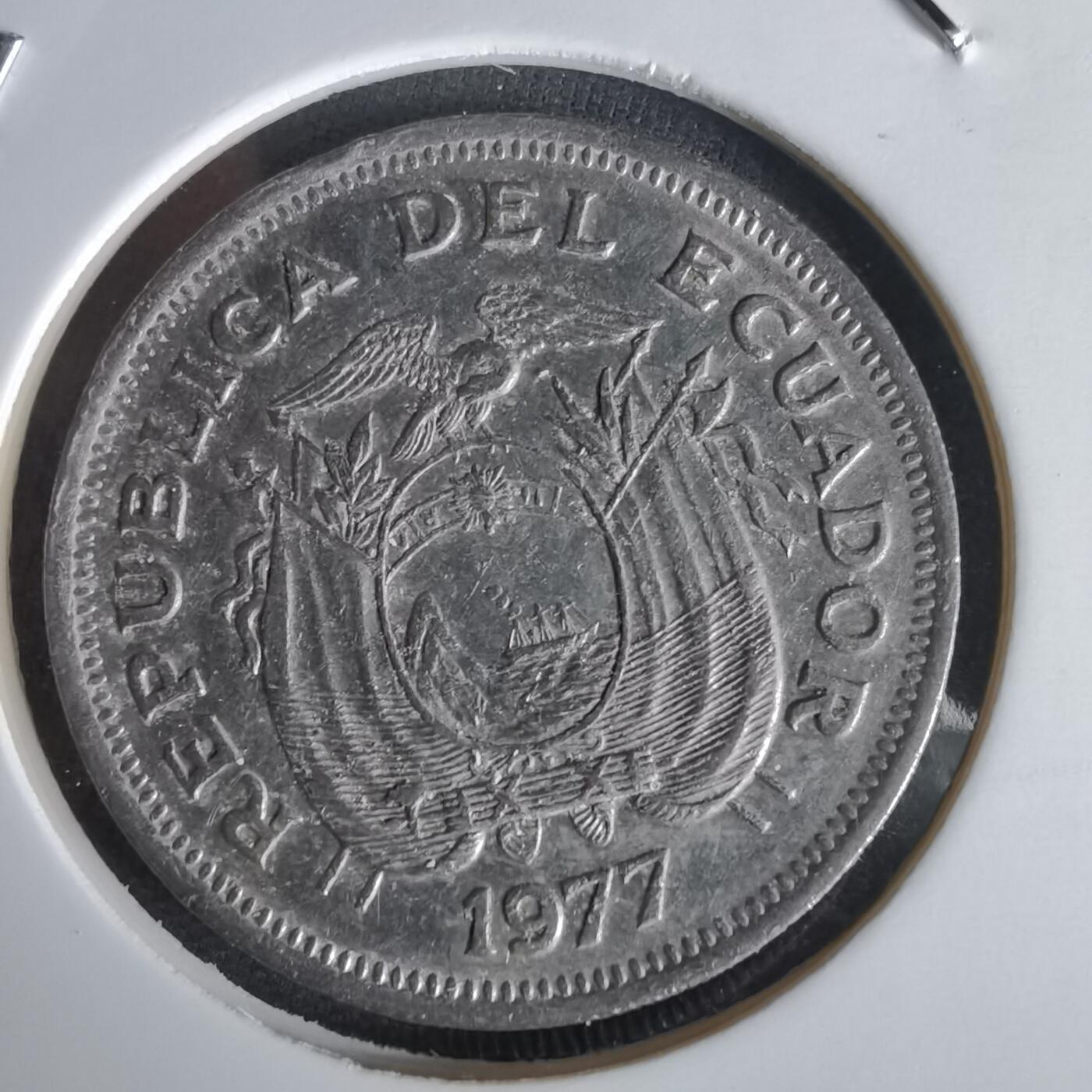 沼泽如烟--第1056场