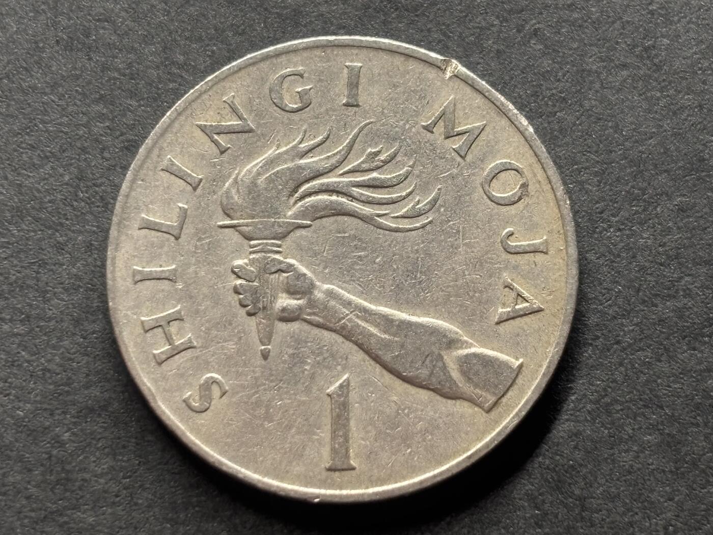 邮泉阁外国硬币限时拍卖第四十六场 （硬币在国外，请付邮费6元） 坦桑尼亚