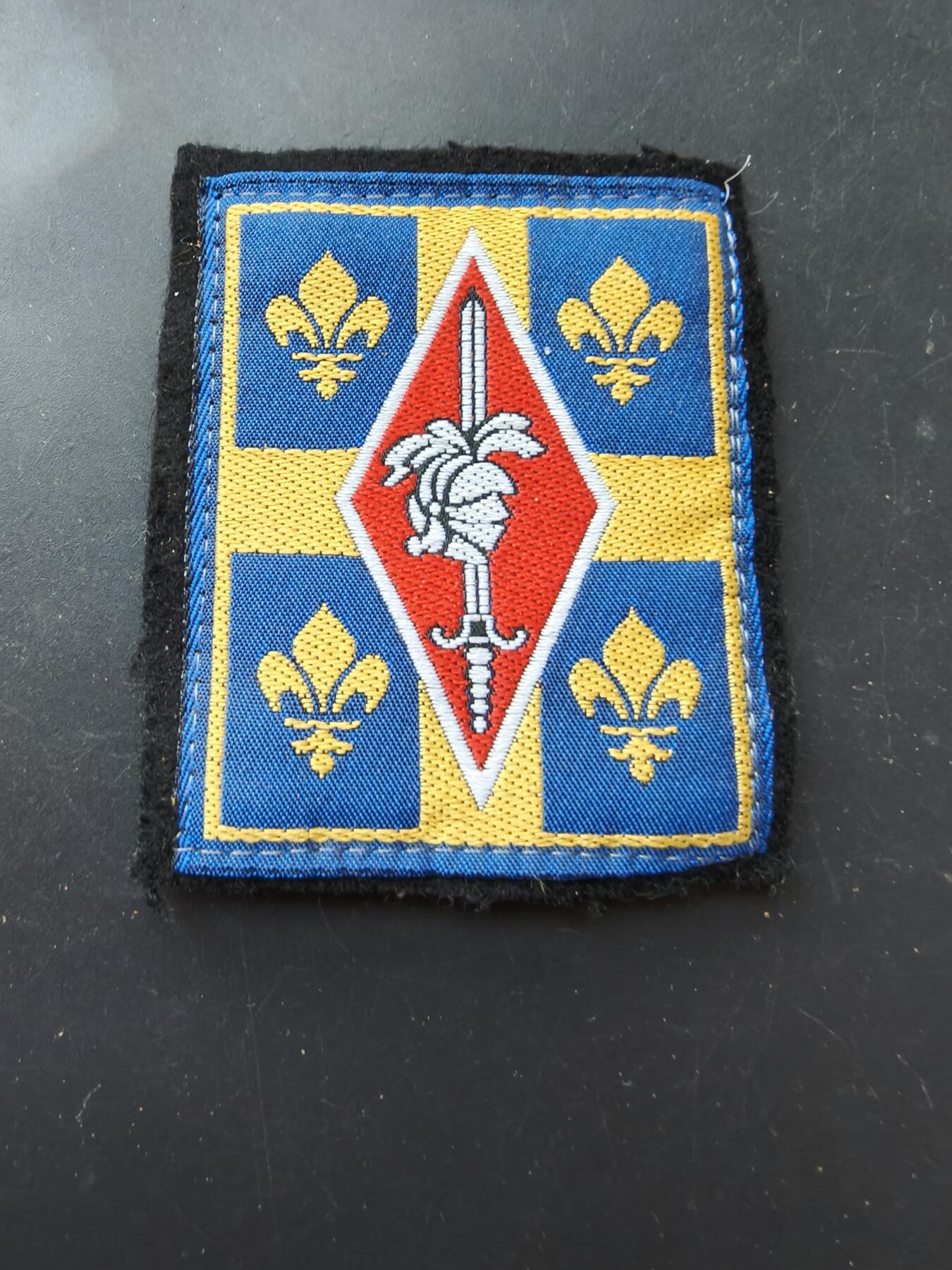 老王徽章第192期 法国陆军第10装甲师臂章