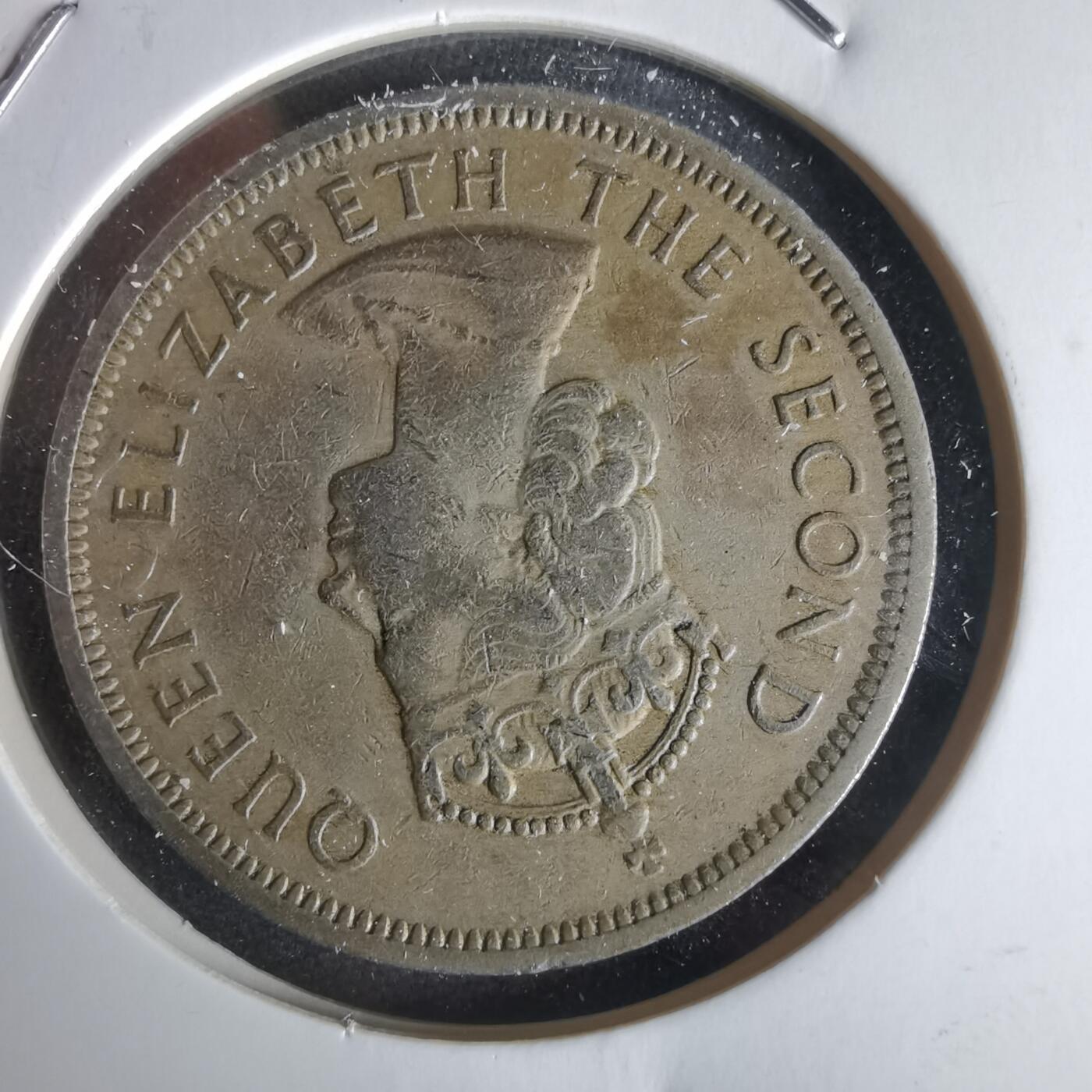 沼泽如烟--第1056场