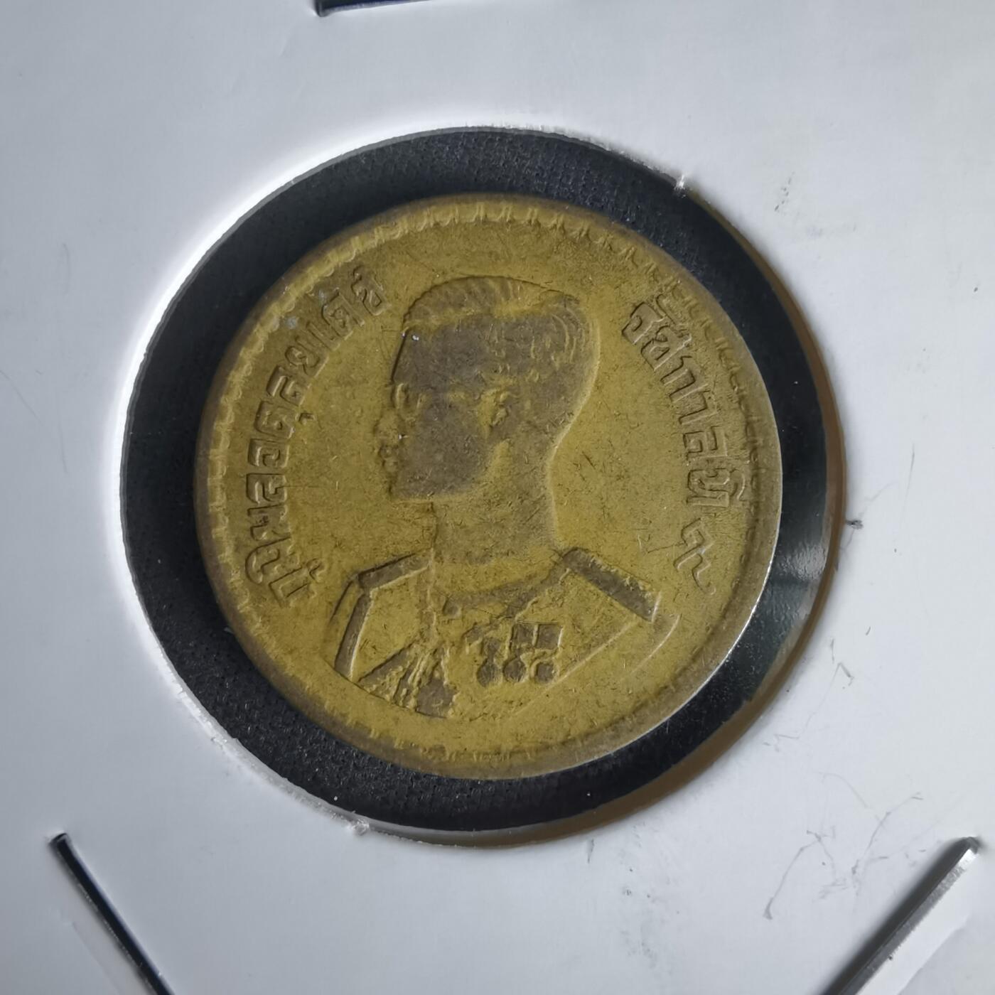 沼泽如烟--第1056场