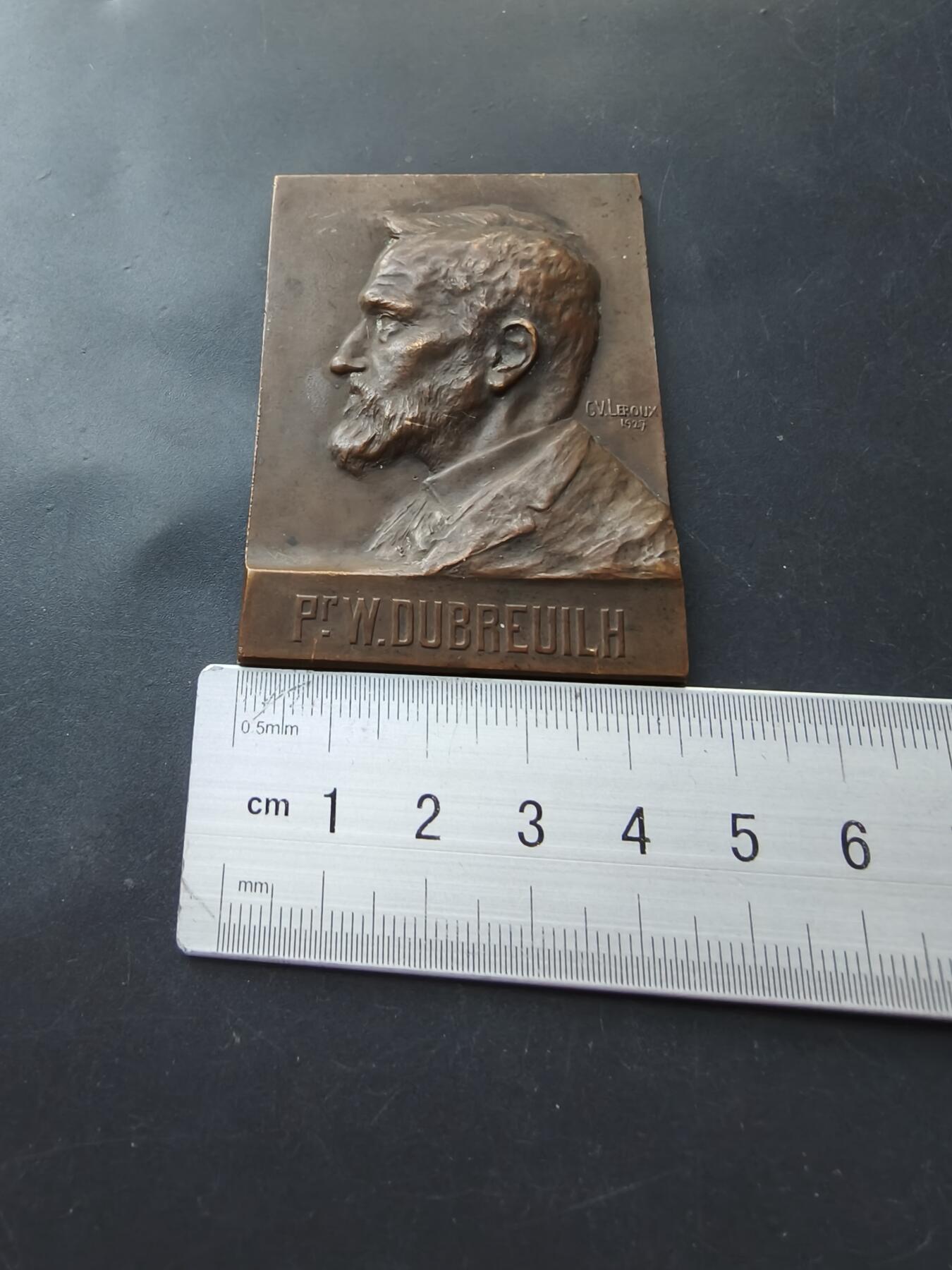 老王徽章第192期 法国波尔多大学皮肤科教授A.W.杜布雷伊方形大铜章       尺寸46×62mm      重量90.7g