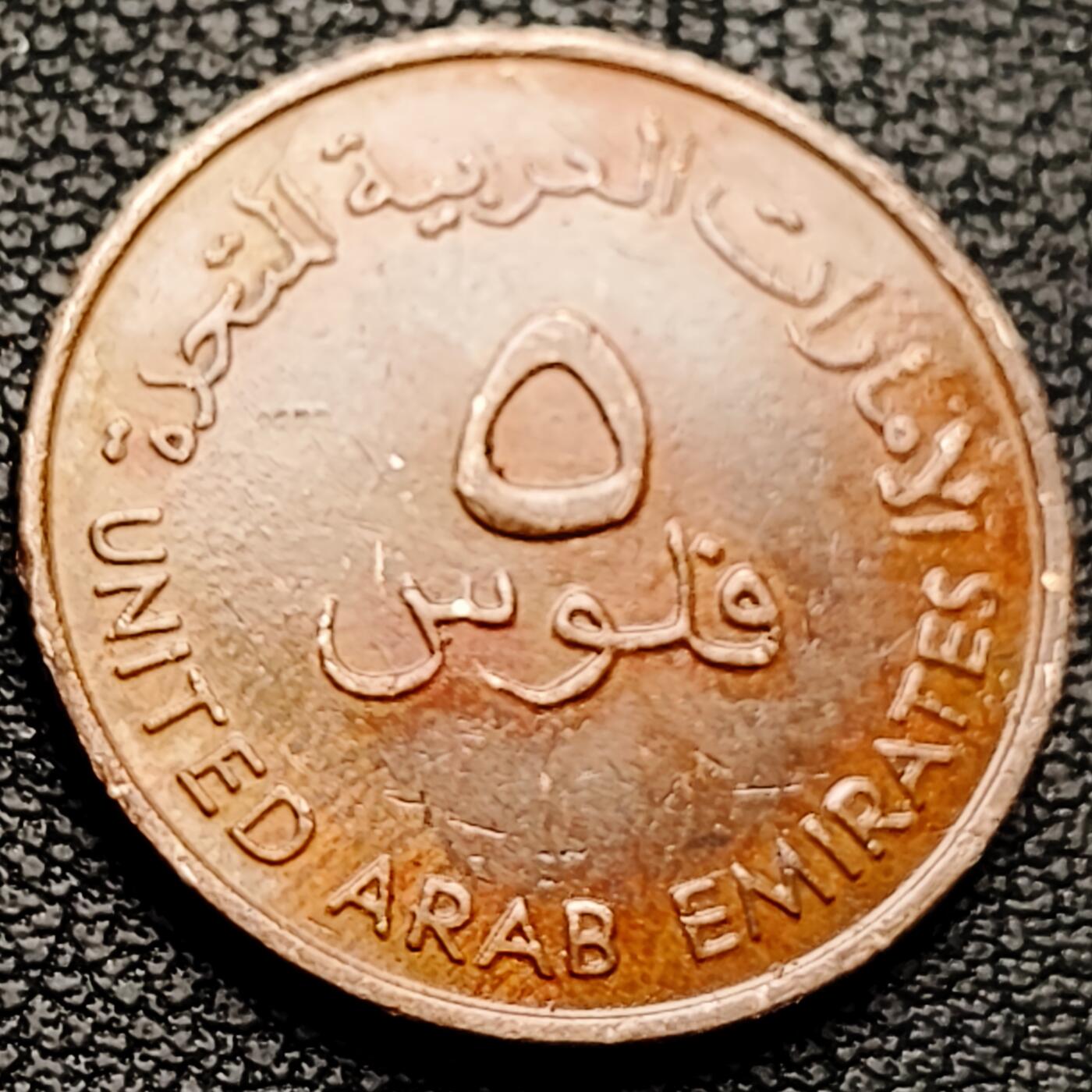 泉币菌-第227场-拍品多 请提前出价 鱼 阿联酋5费尔青铜币 22毫米3.7克