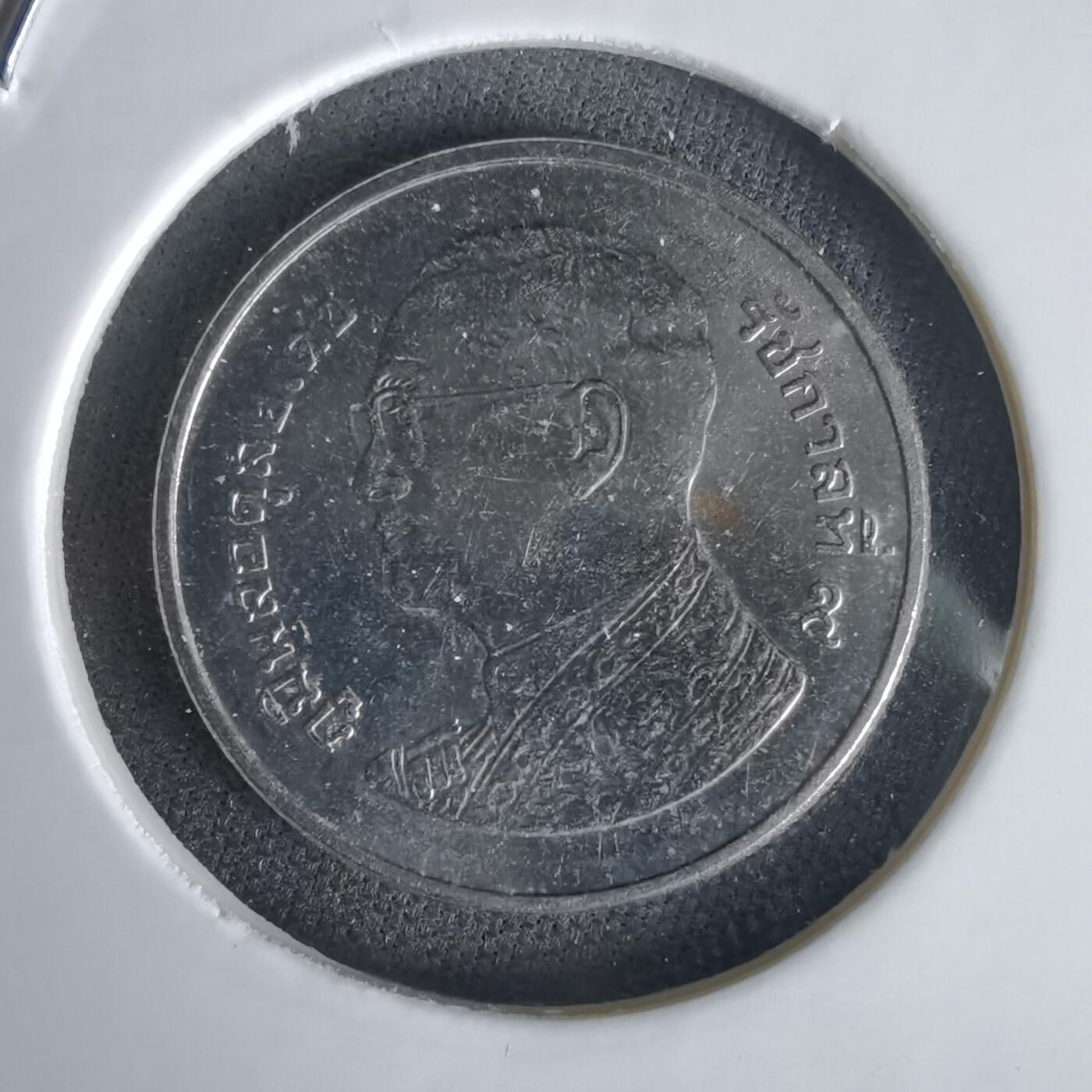 沼泽如烟--第1056场