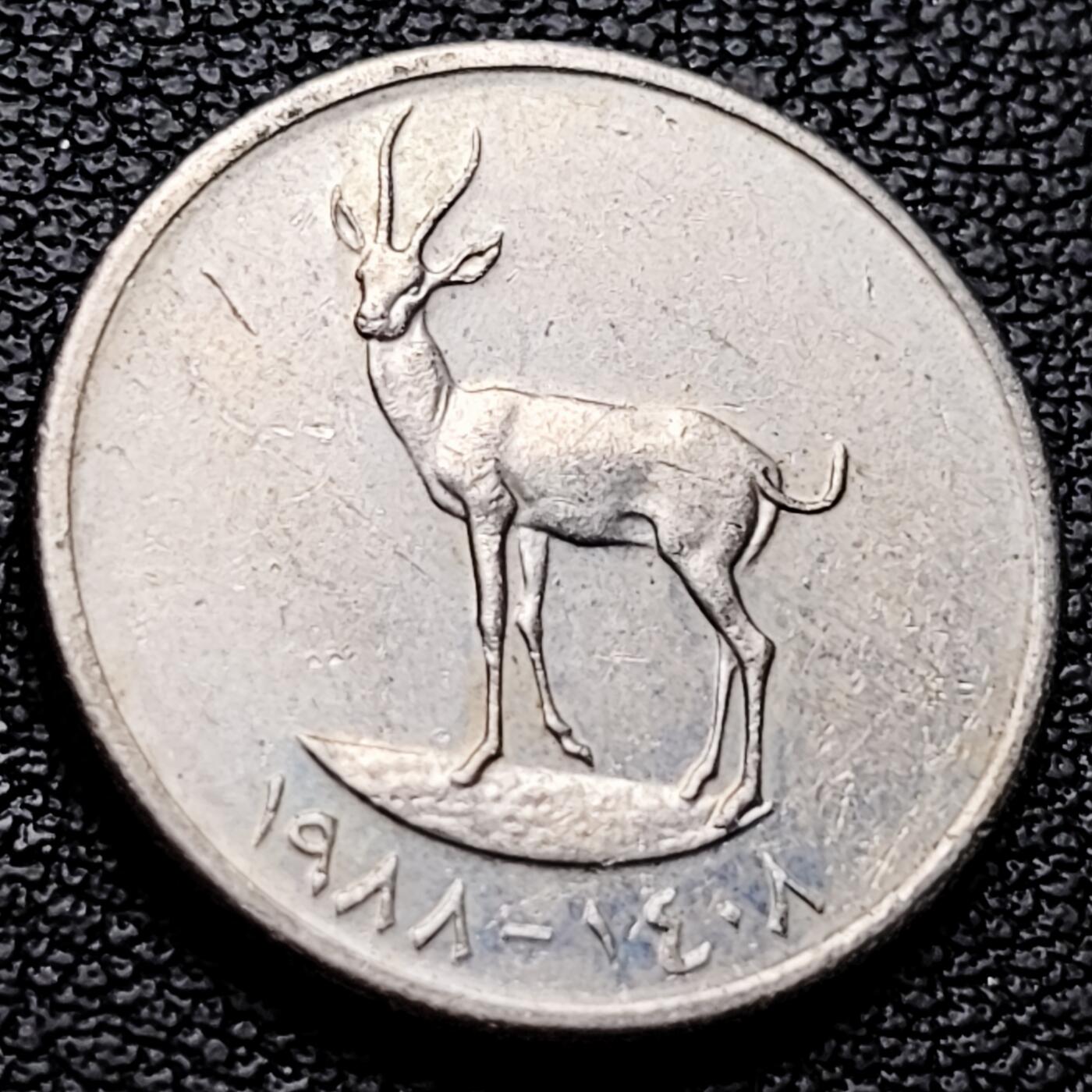 泉币菌-第227场-拍品多 请提前出价 阿拉伯联合酋长国 阿联酋 20菲尔 20毫米 3.5克 小鹿 铜钱纪念币