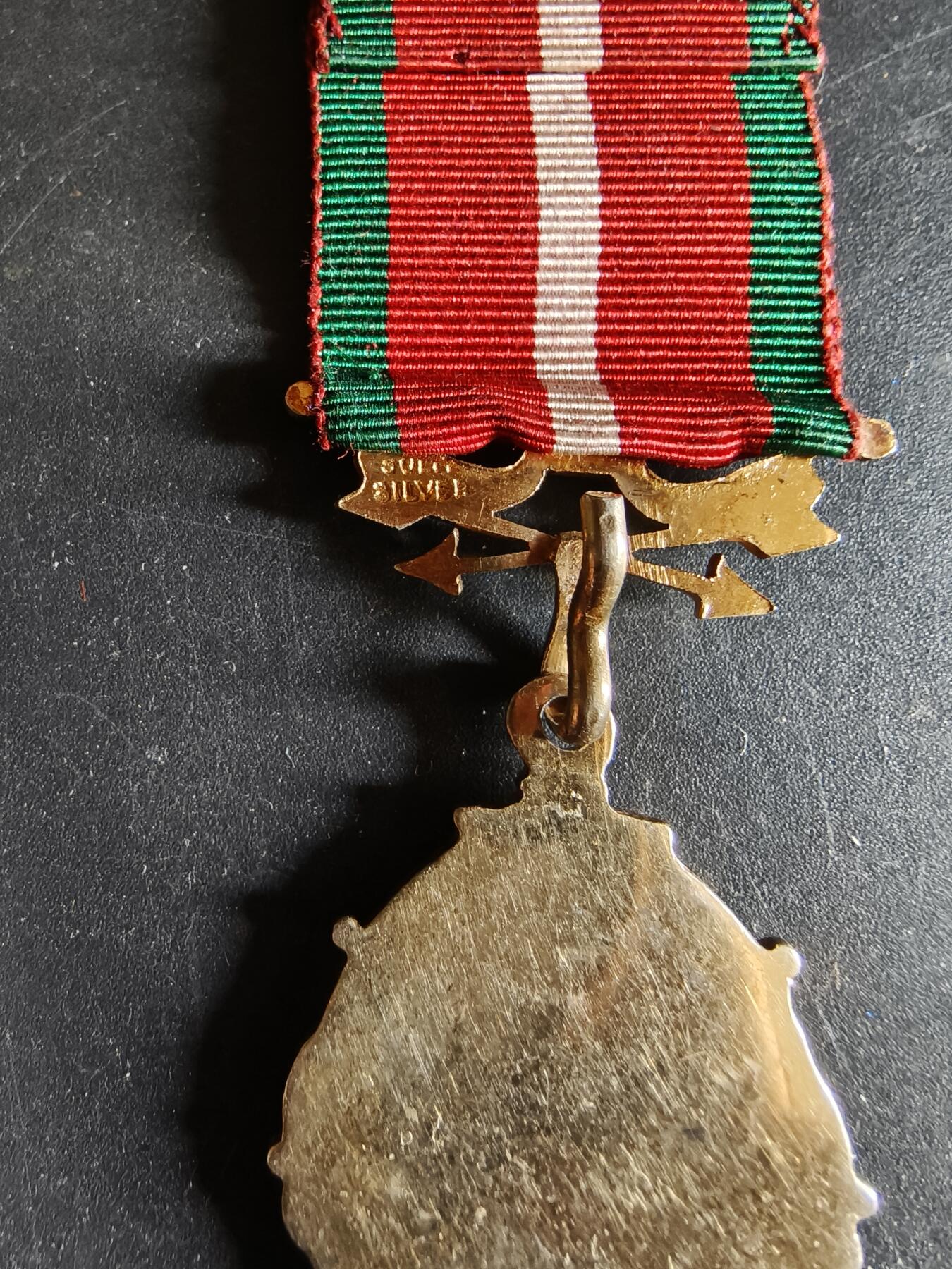 老王徽章第192期 英国古老森林人兄弟会奖章     925银镀金珐琅       16.5g