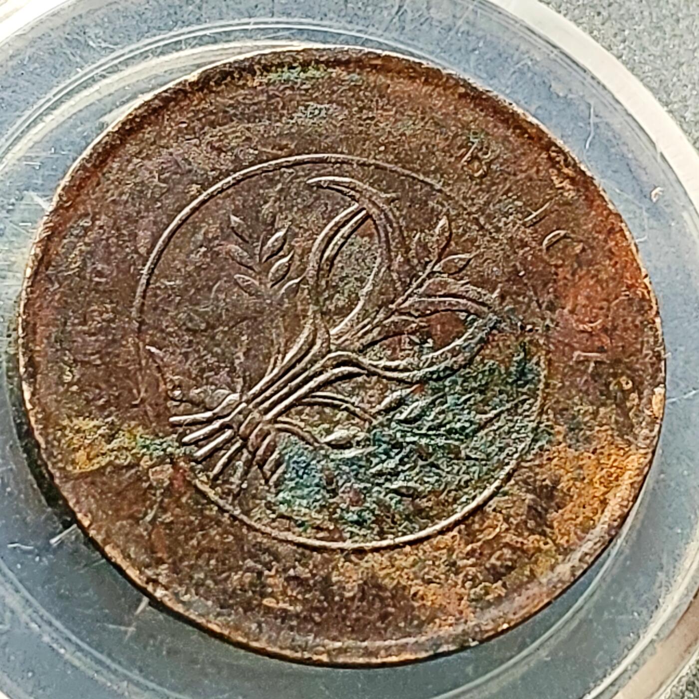 泉币菌-第226场-拍品多 请提前出价 湖南省造二十文铜元 嘉禾 32×1.5mm 背逆