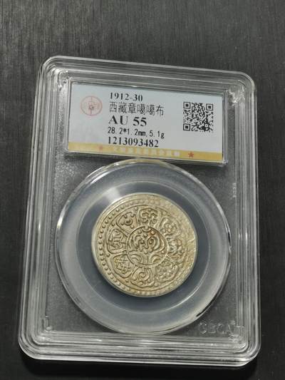 天下钱庄专场欢迎参拍 - 西藏章噶银币