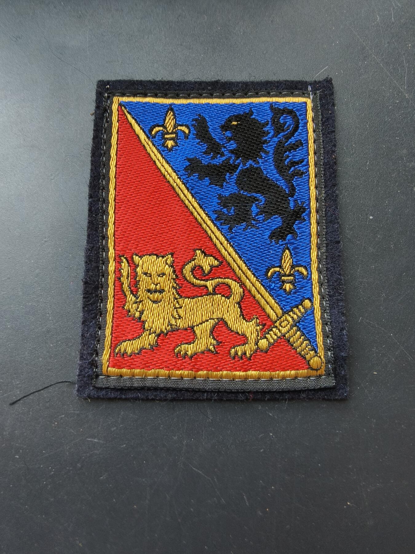 老王徽章第192期 法国陆军第12步兵师臂章