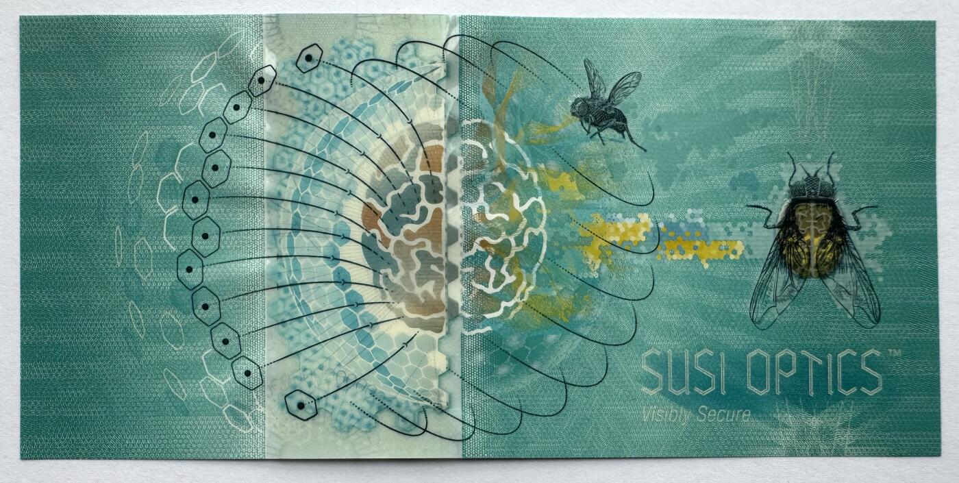 2026第7场（总第234期）：精品外钞、塑料钞、测试钞综合场  SUSI OPTICS 苏芮版“果蝇”Guardian基材塑料测试钞UNC