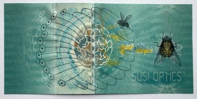 2026第7场（总第234期）：精品外钞、塑料钞、测试钞综合场  - SUSI OPTICS 苏芮版“果蝇”Guardian基材塑料测试钞UNC