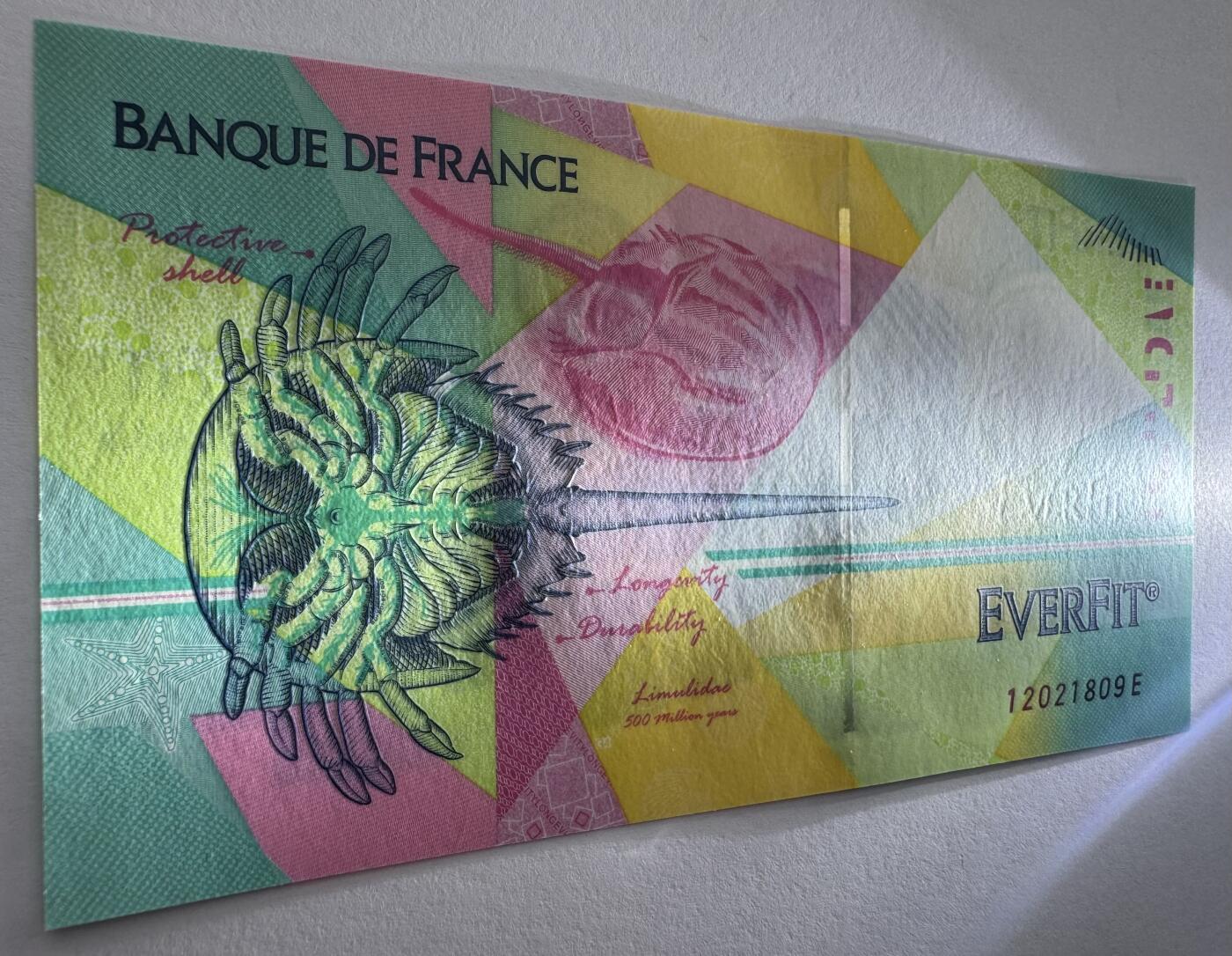 2026第7场（总第234期）：精品外钞、塑料钞、测试钞综合场  法国BdF “ 鲎” EVERFIT®三层复合基材测试钞UNC（半开式细安全线版）