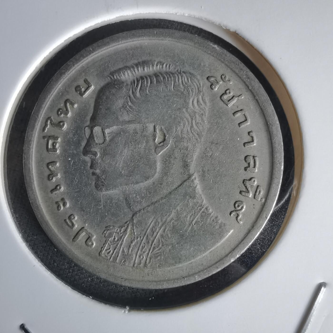 沼泽如烟--第1056场